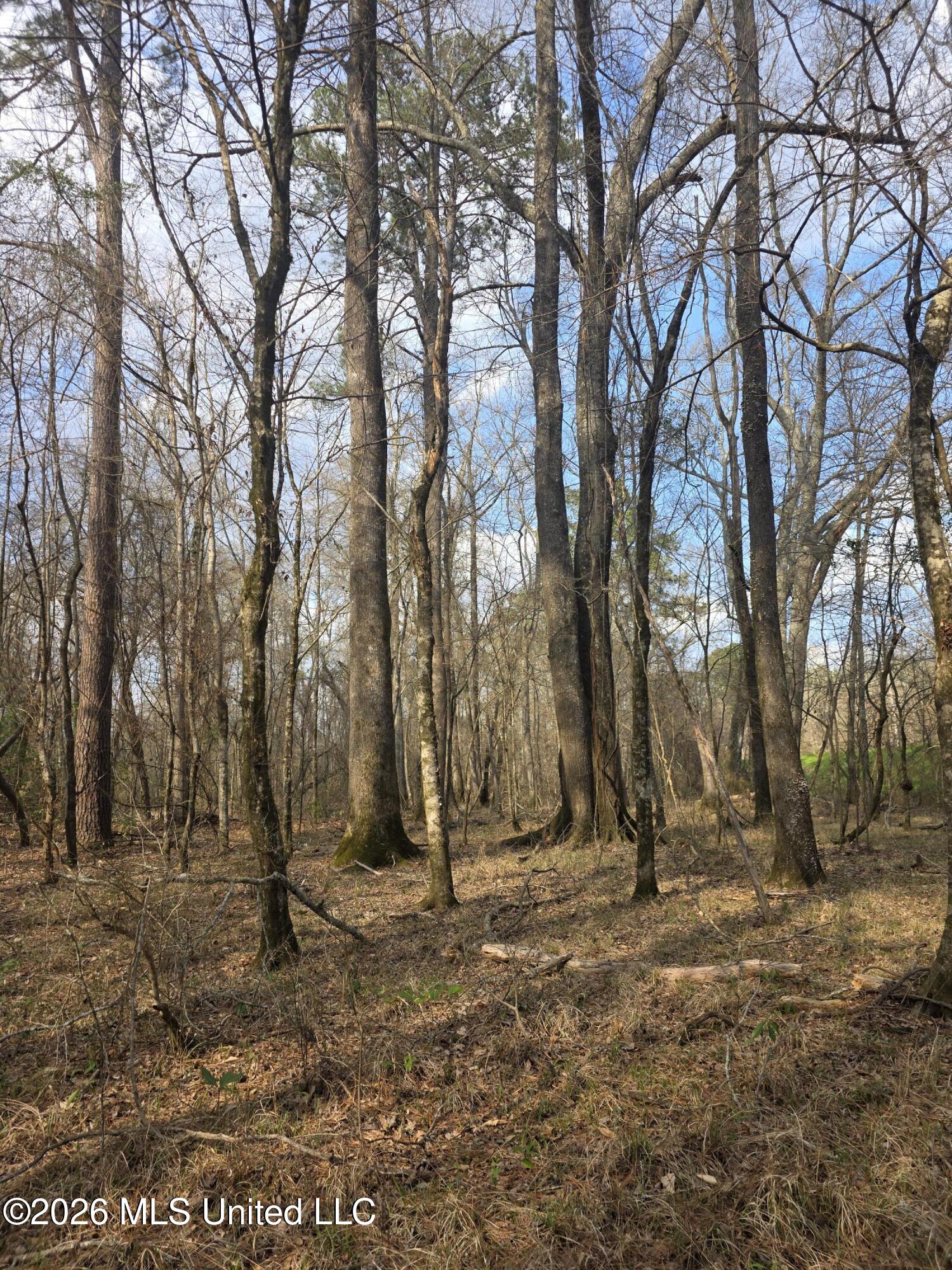 U.s. Highway 51 Property Photo 100