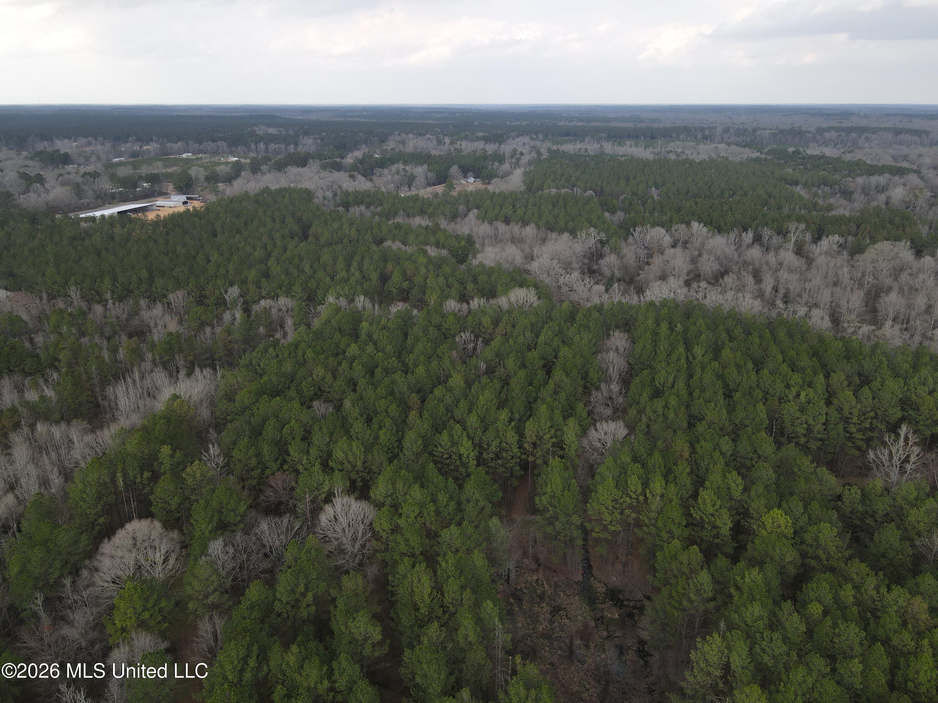 U.s. Highway 51 Property Photo 111