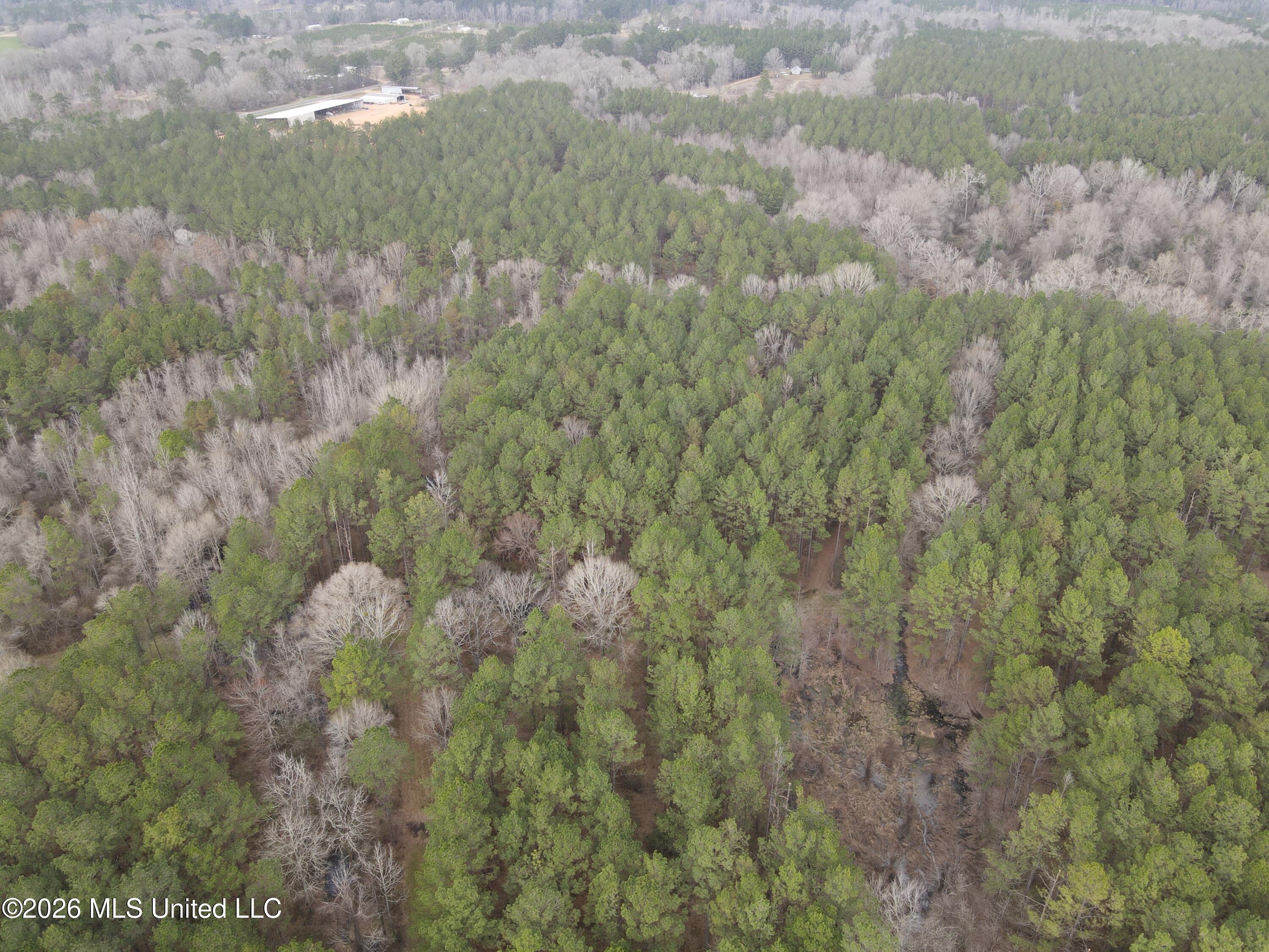 U.s. Highway 51 Property Photo 125