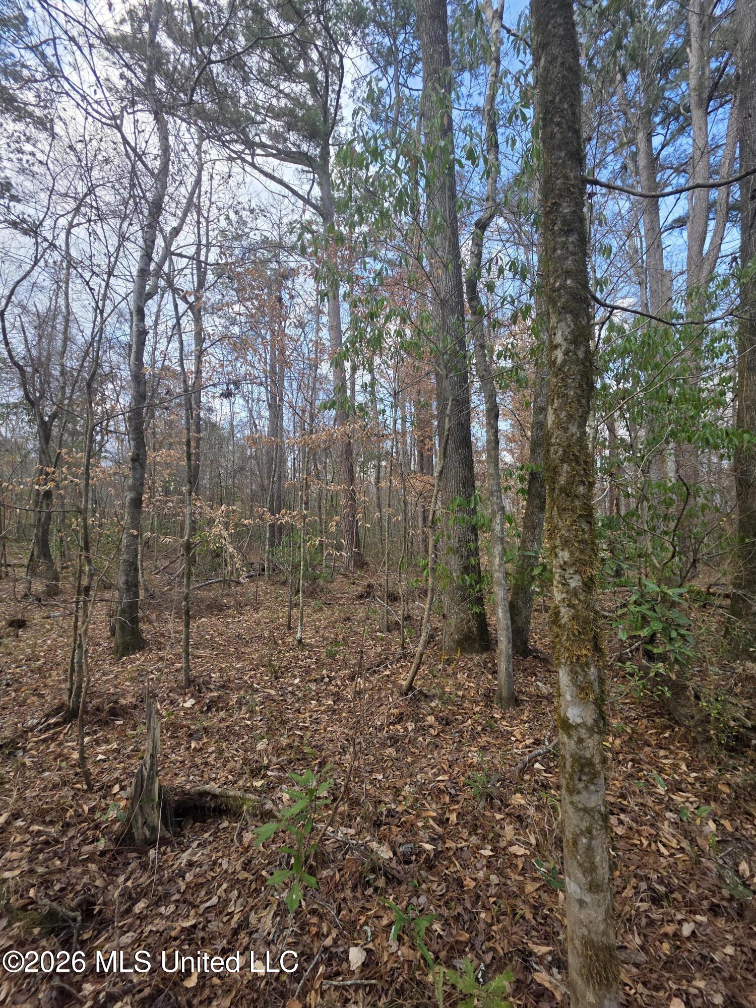 U.s. Highway 51 Property Photo 127