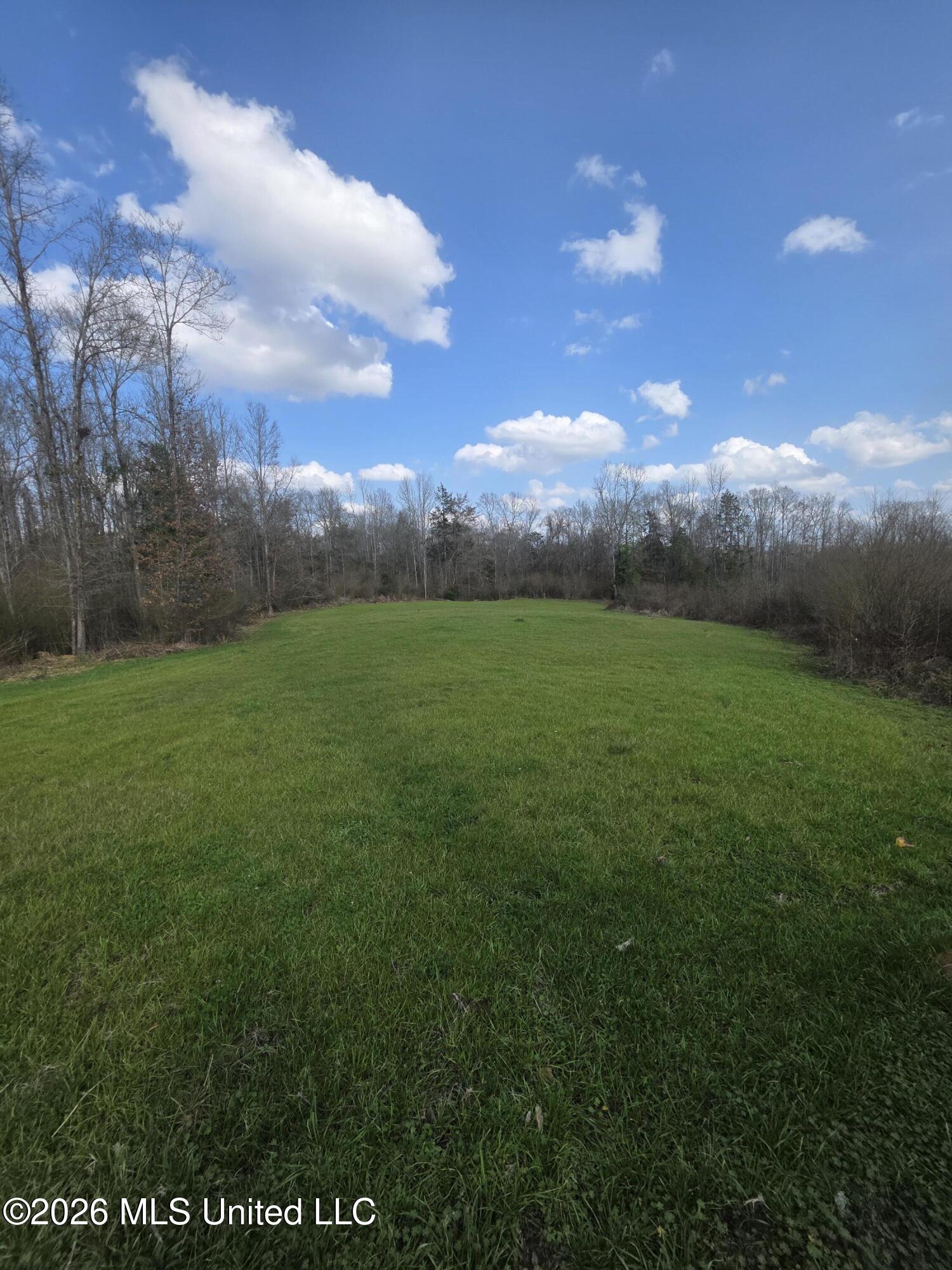 U.s. Highway 51 Property Photo 131