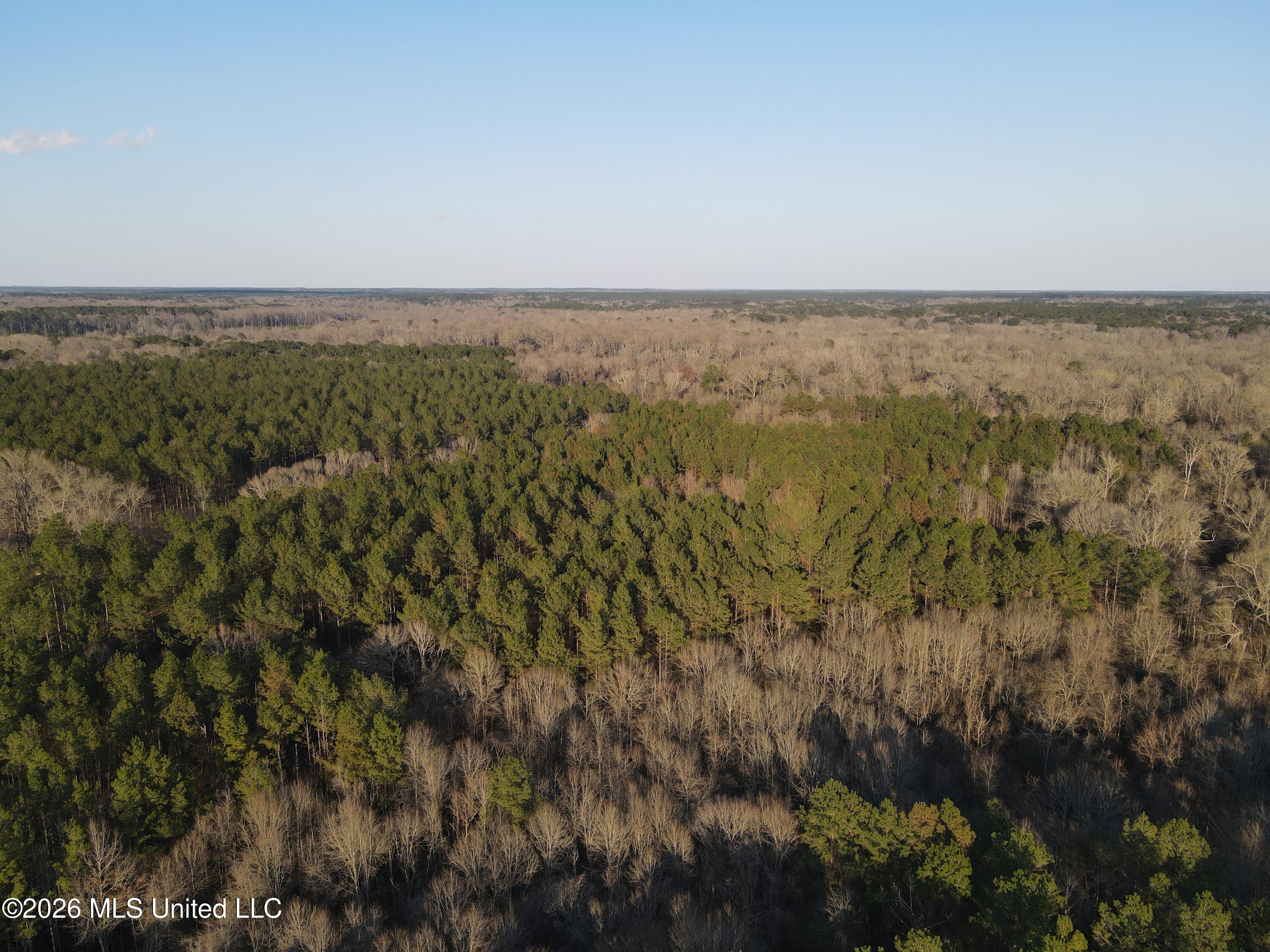 U.s. Highway 51 Property Photo 154