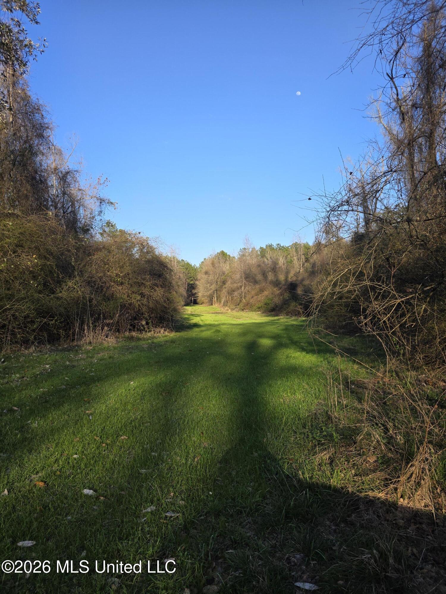 U.s. Highway 51 Property Photo 160