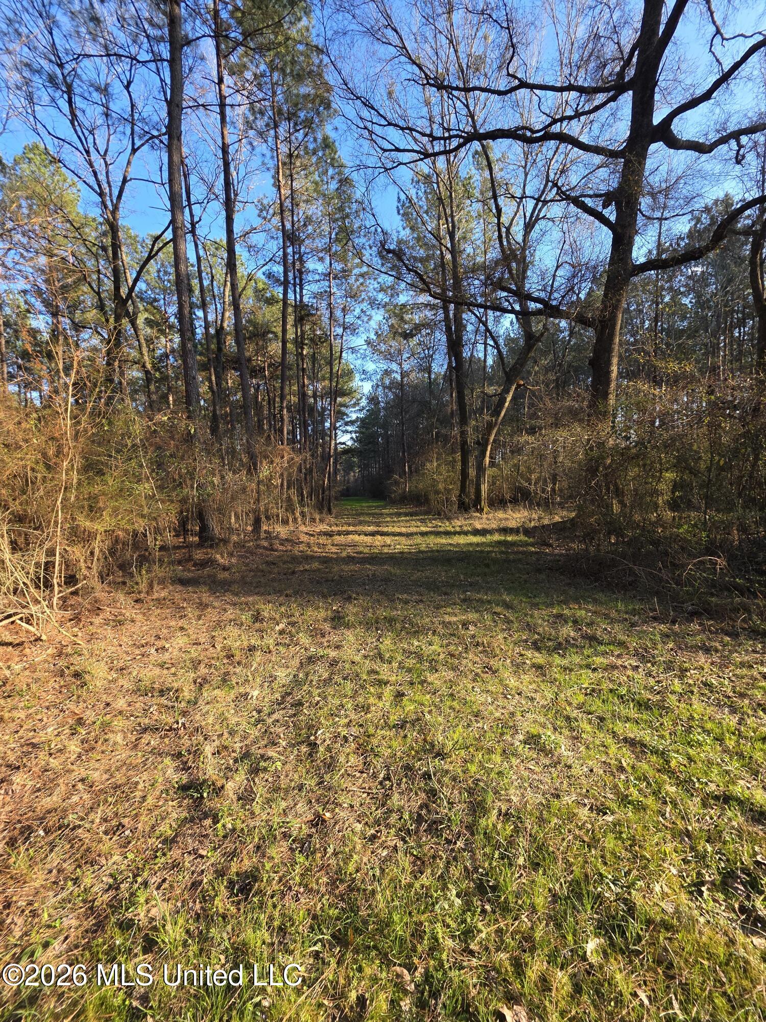 U.s. Highway 51 Property Photo 161