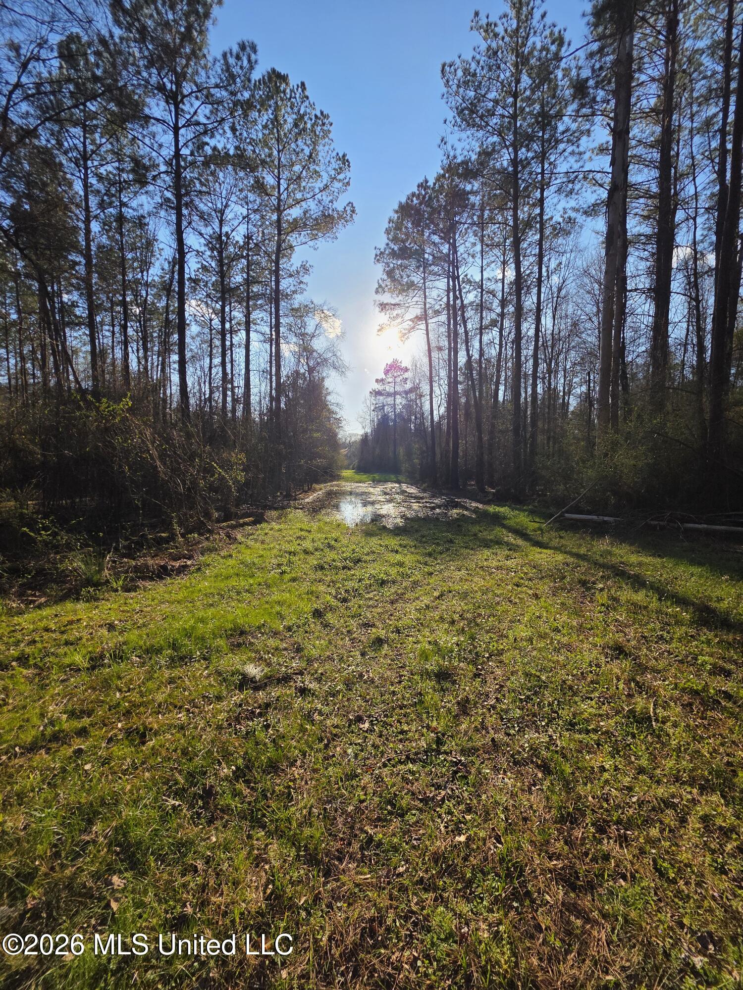U.s. Highway 51 Property Photo 162