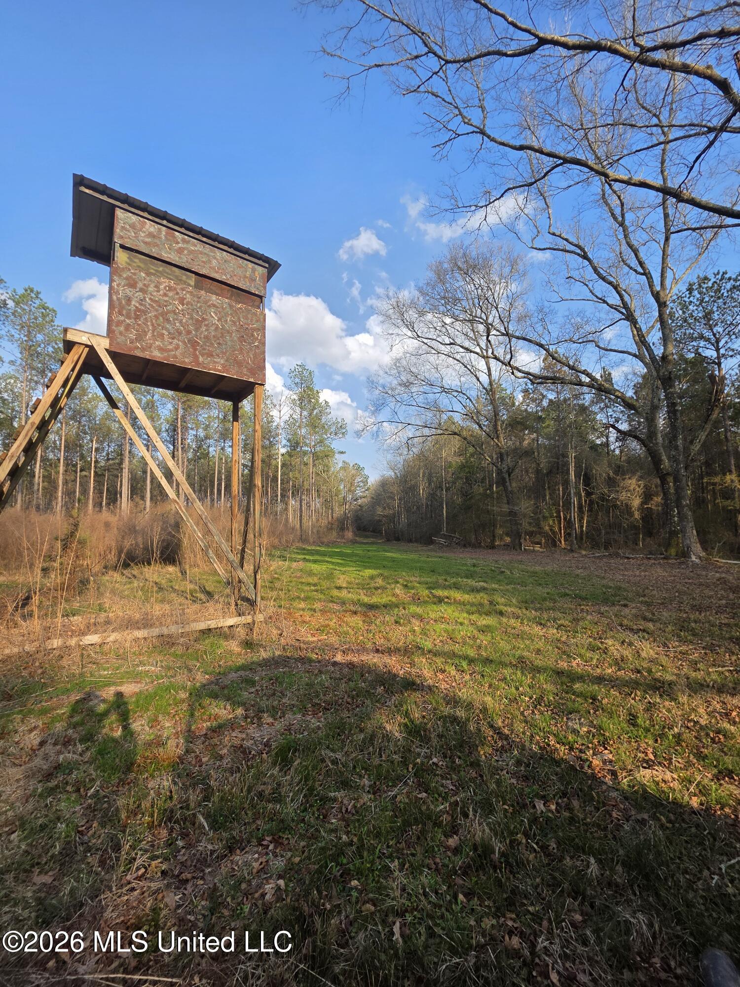 U.s. Highway 51 Property Photo 167