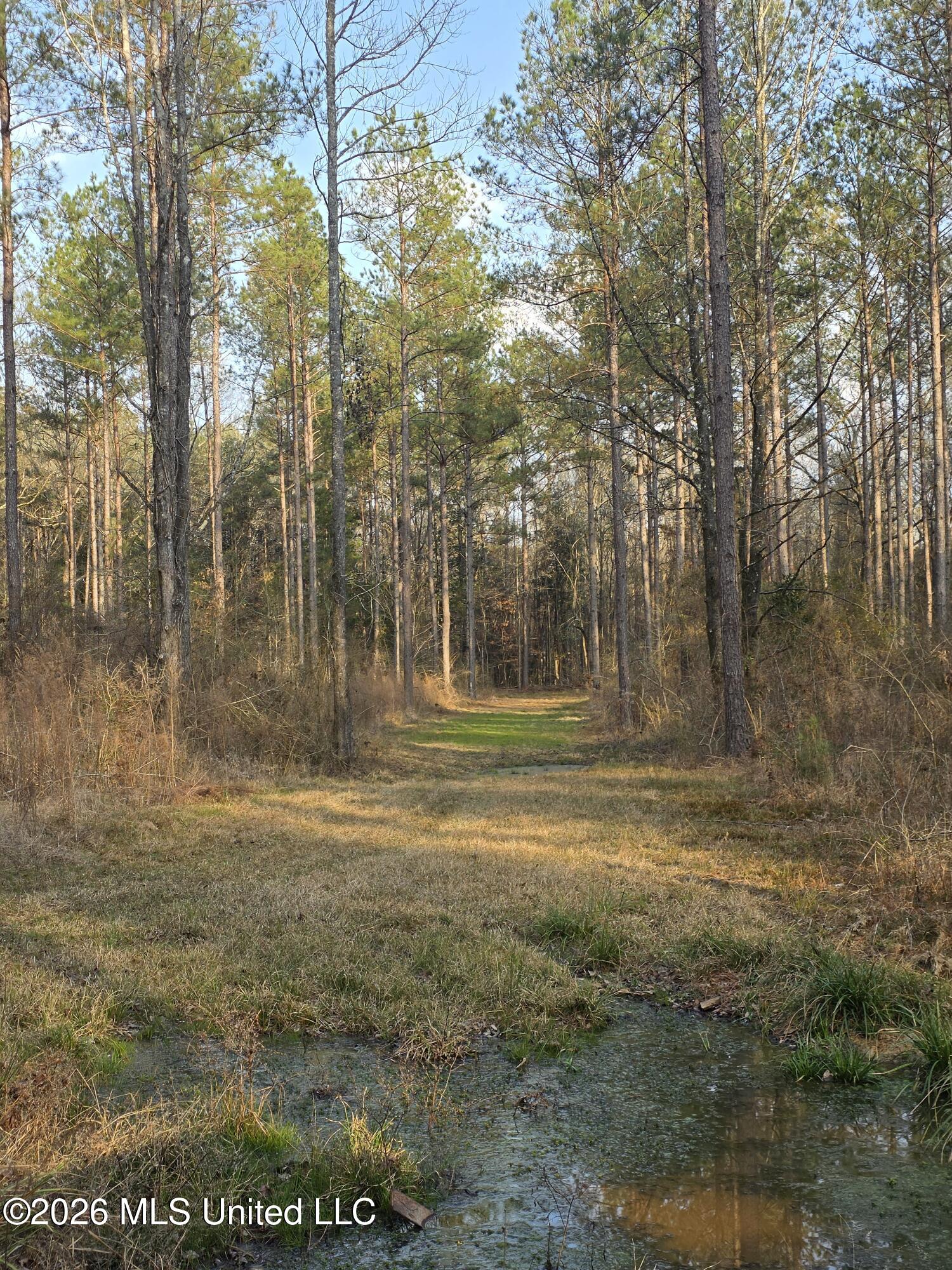 U.s. Highway 51 Property Photo 168