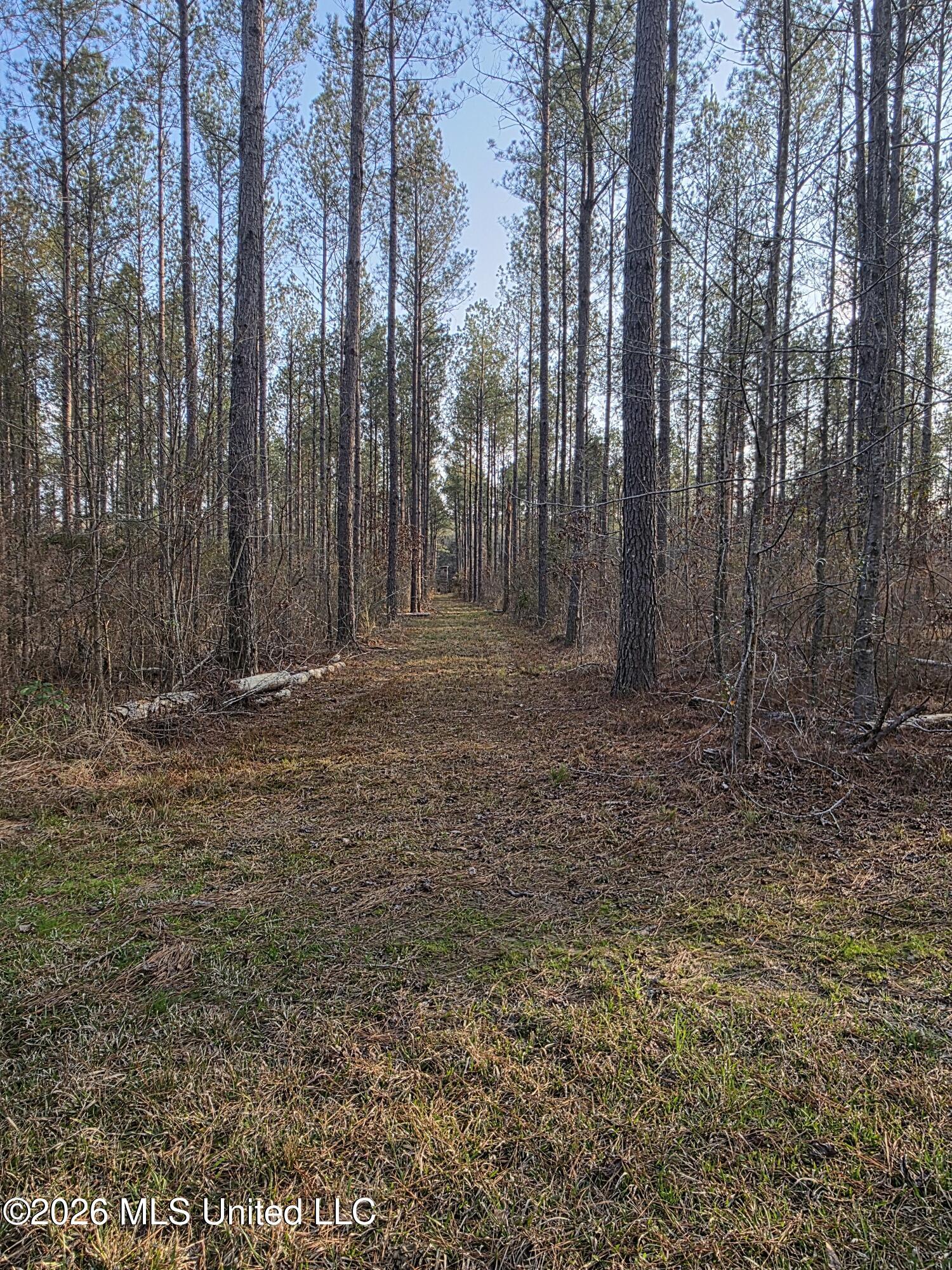 U.s. Highway 51 Property Photo 169