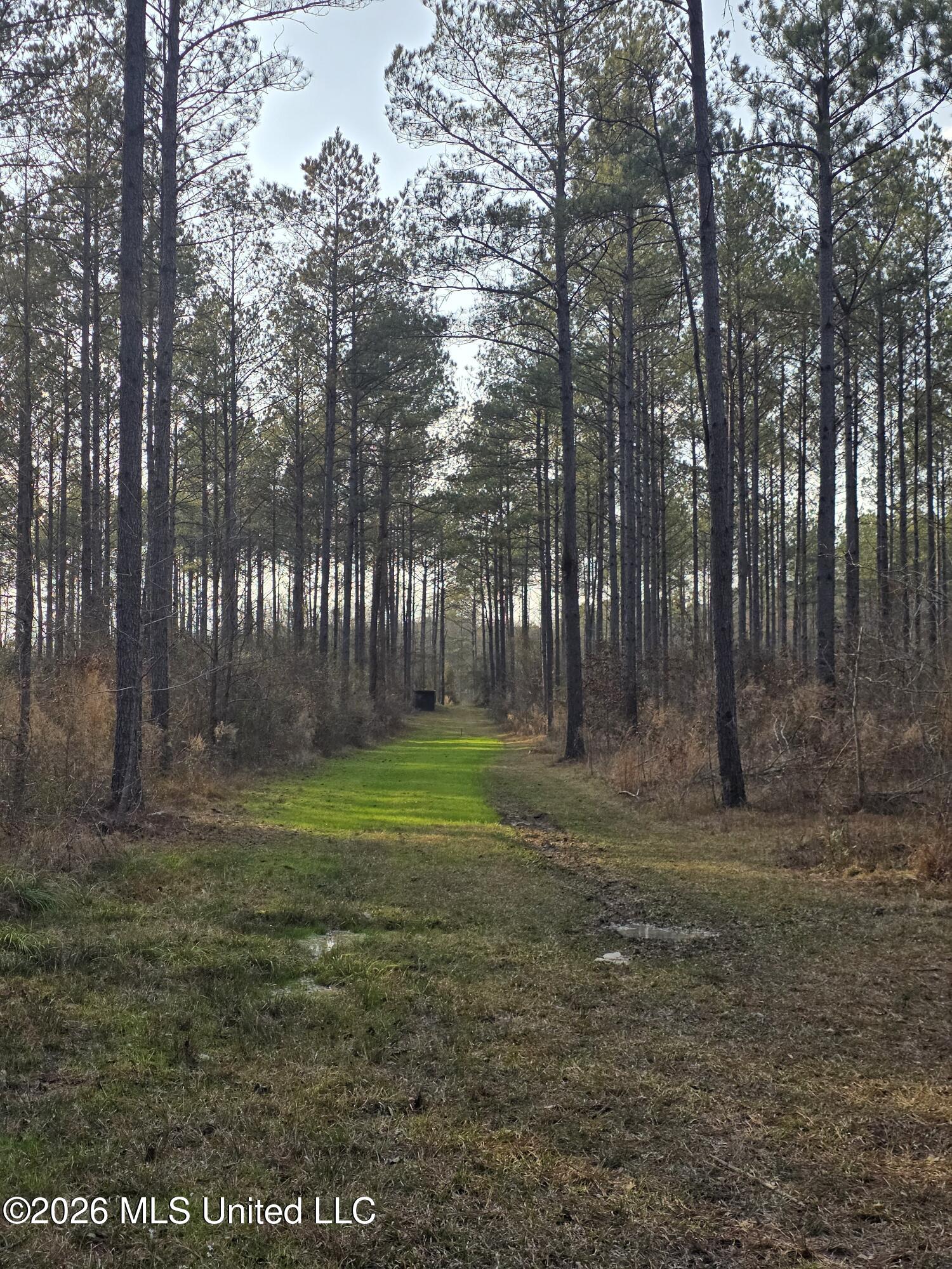 U.s. Highway 51 Property Photo 171