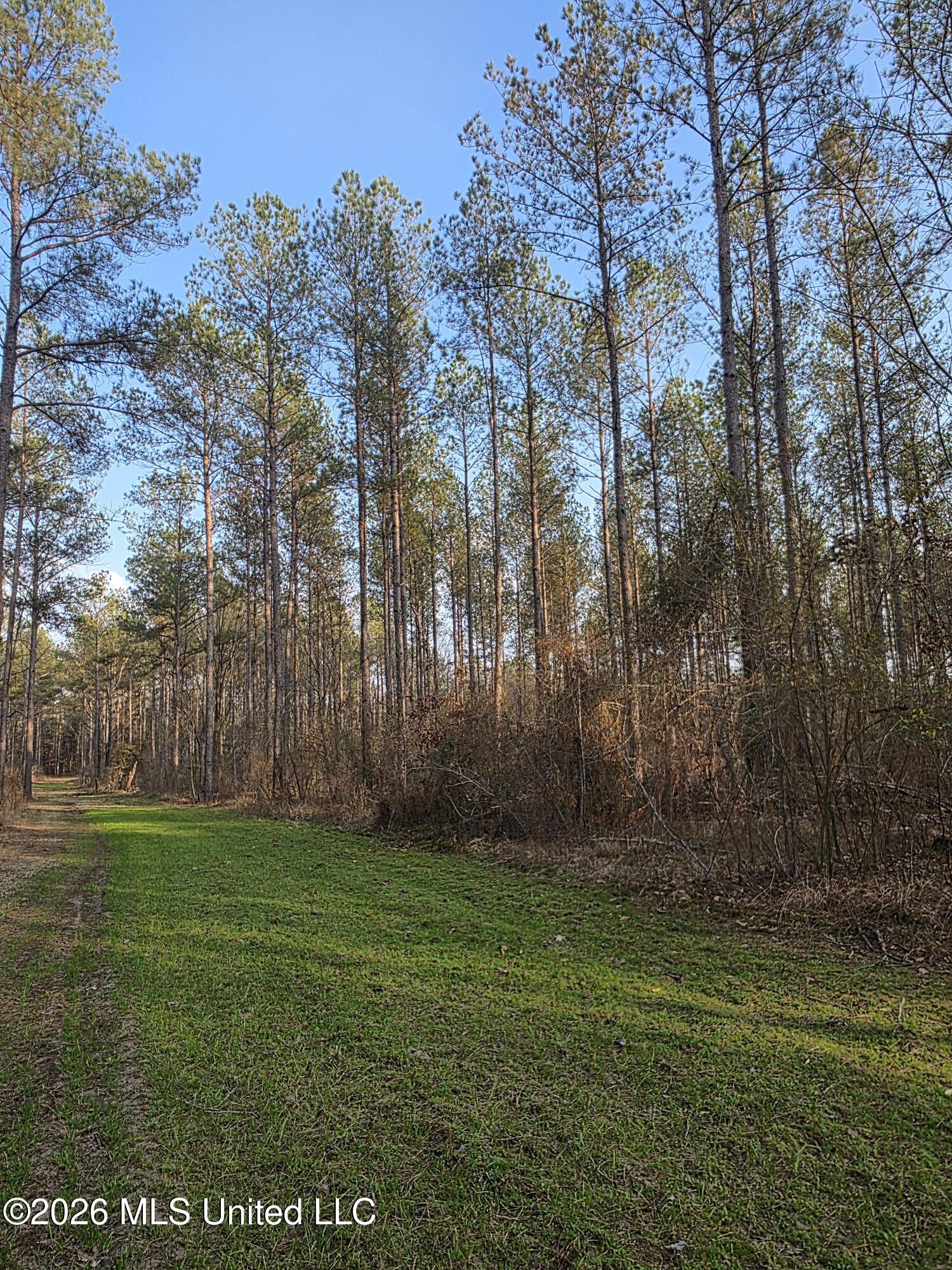 U.s. Highway 51 Property Photo 173
