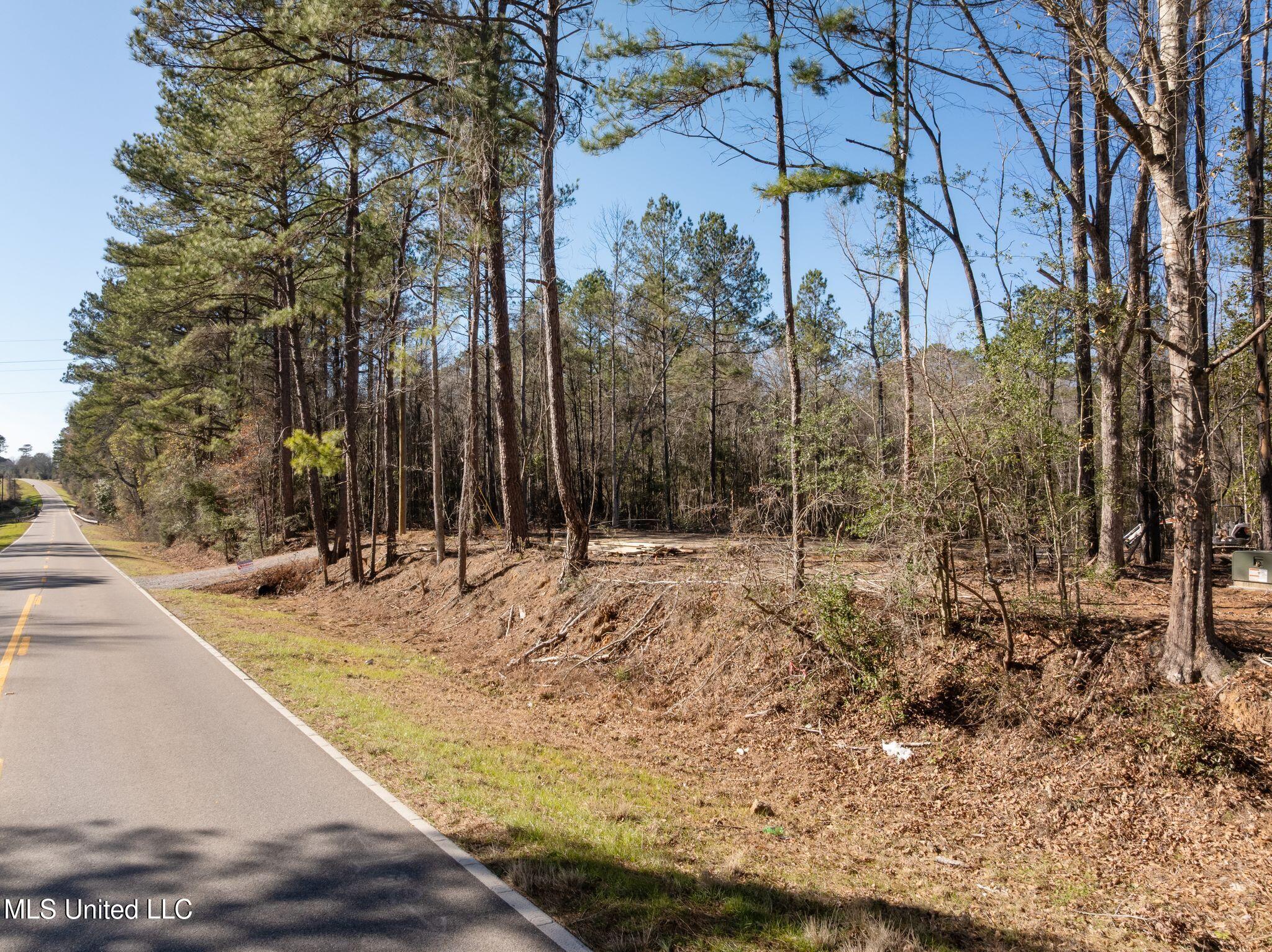 7.21 Acres Ms-44 Property Photo 3