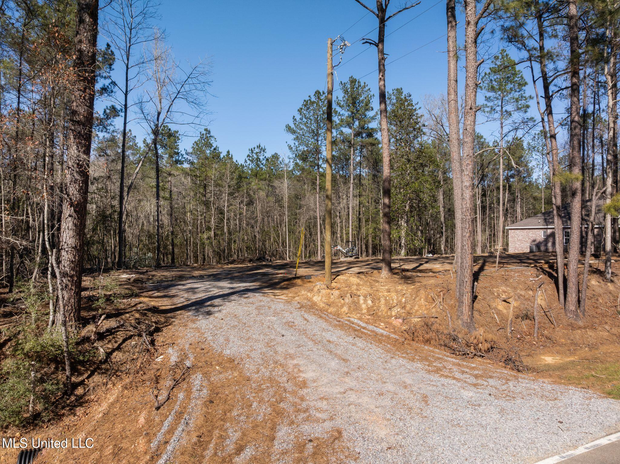 7.21 Acres Ms-44 Property Photo 4