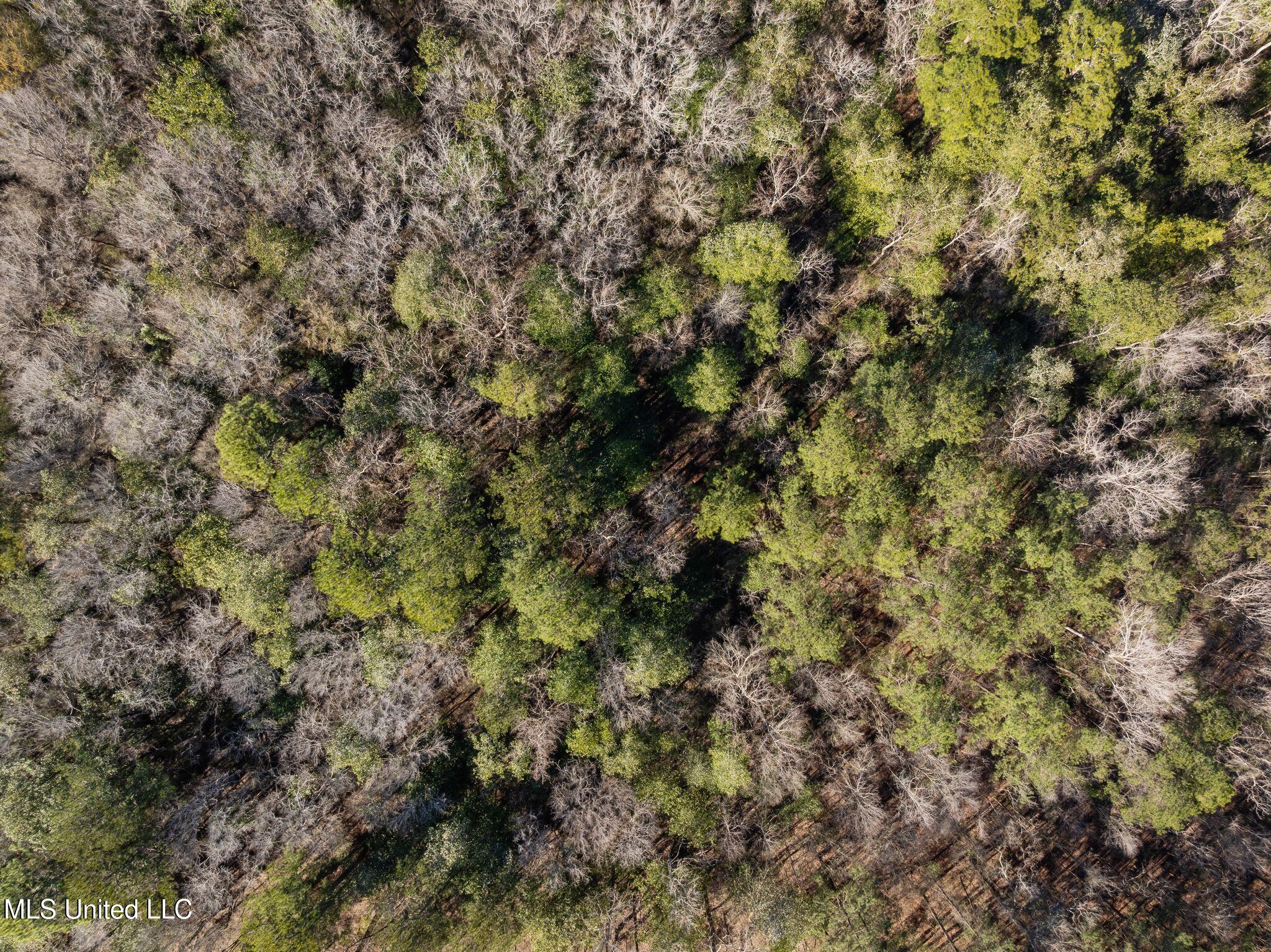 7.21 Acres Ms-44 Property Photo 7