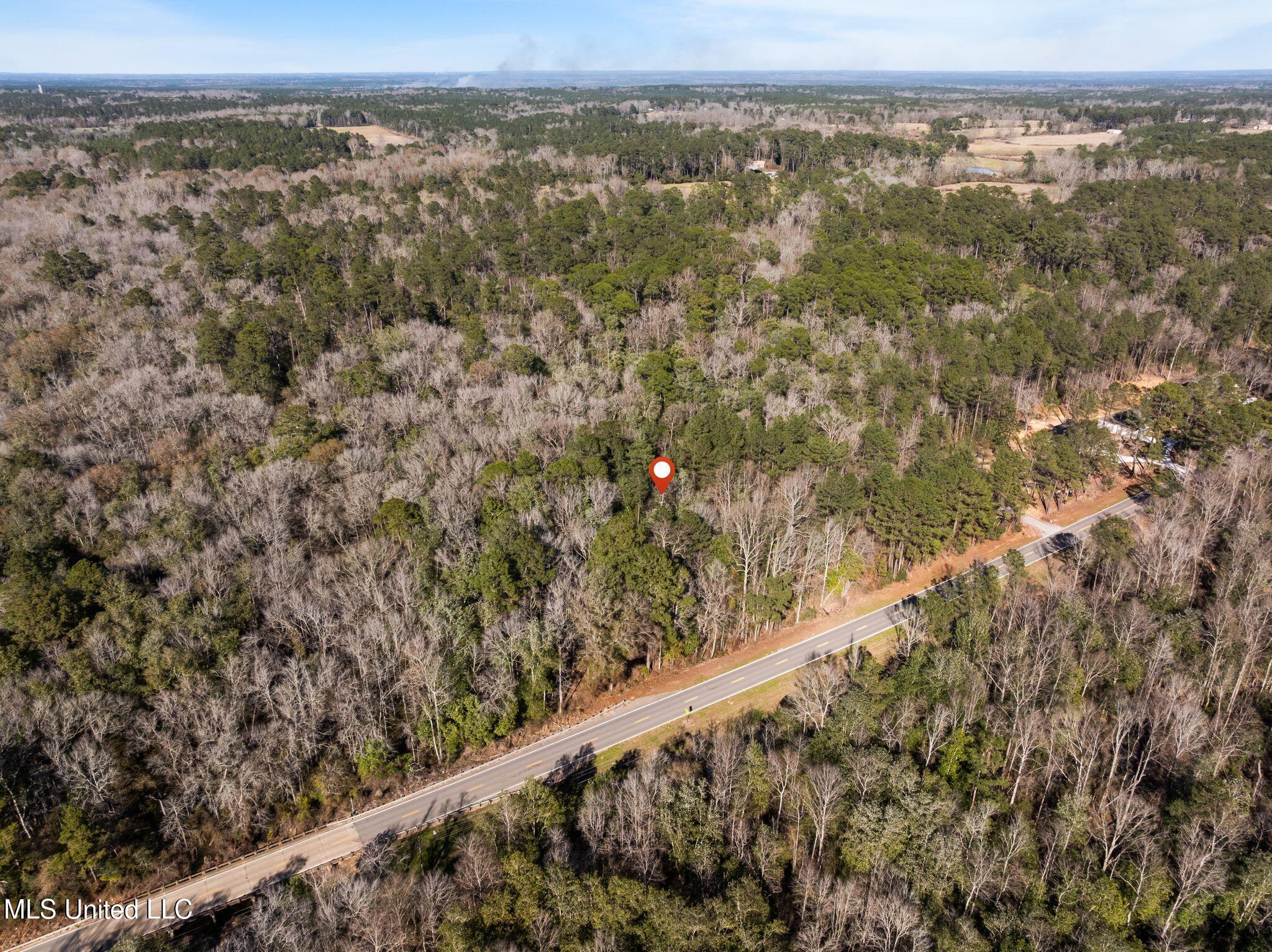 7.21 Acres Ms-44 Property Photo 8