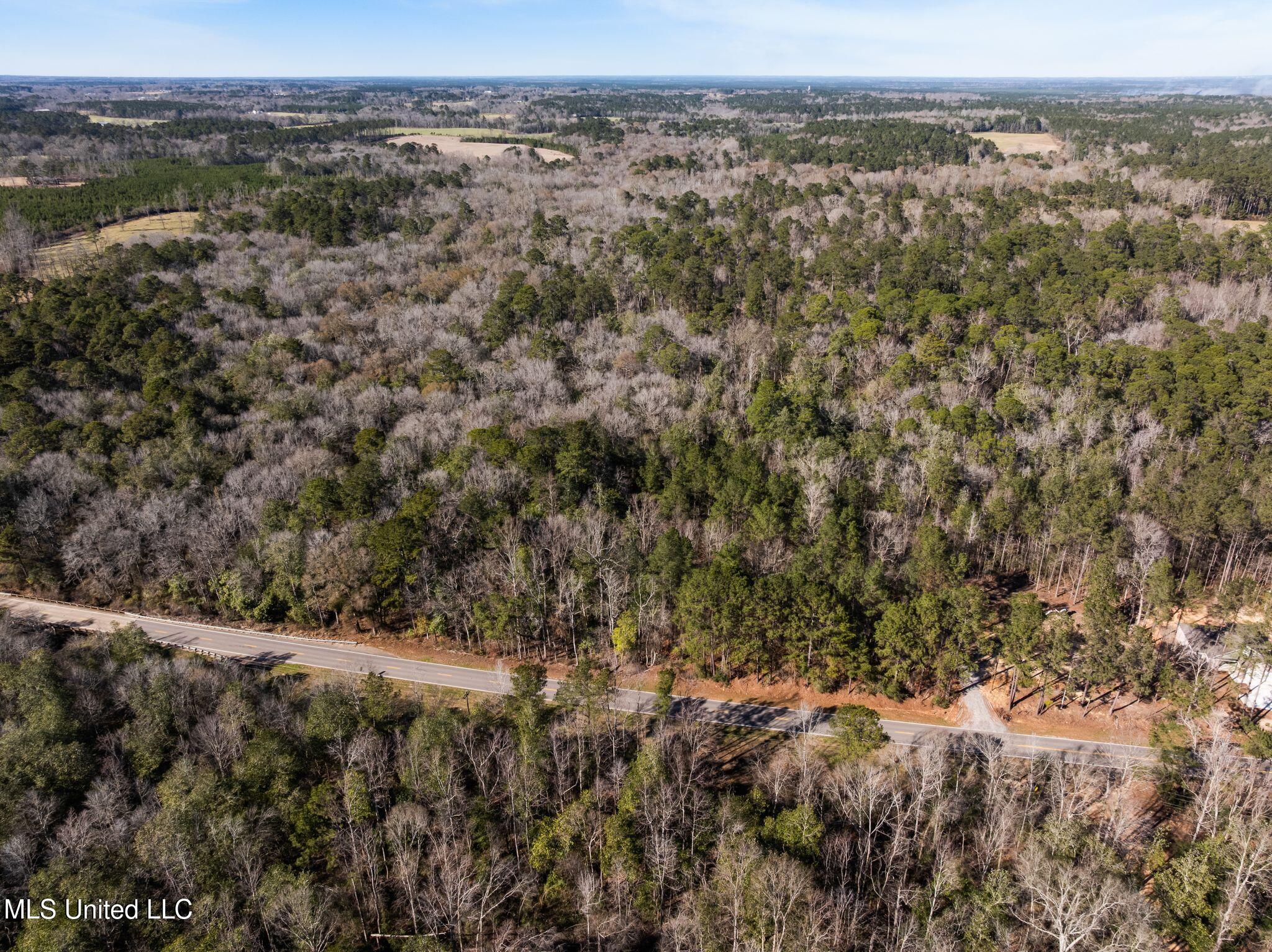 7.21 Acres Ms-44 Property Photo 9