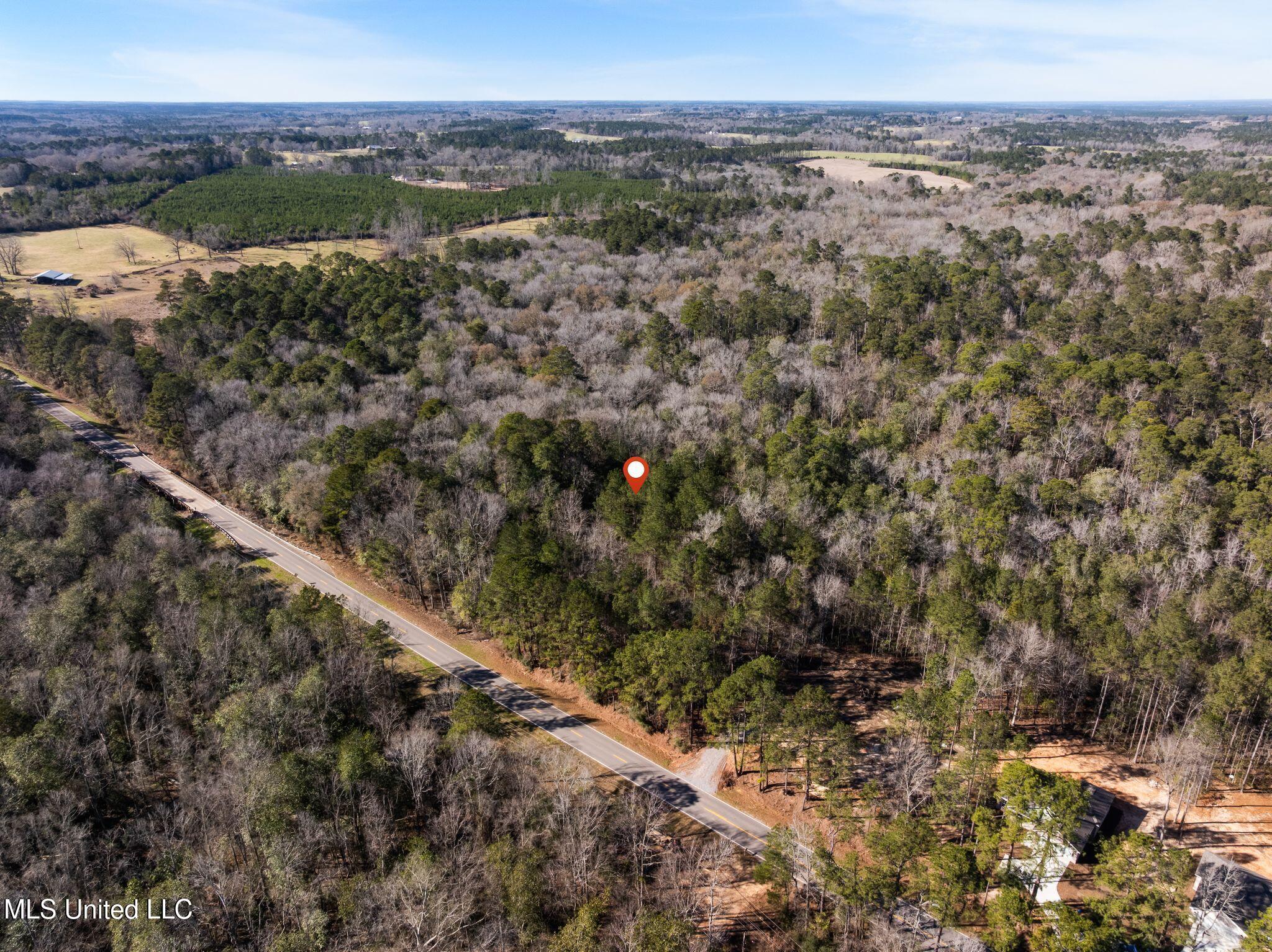 7.21 Acres Ms-44 Property Photo 10