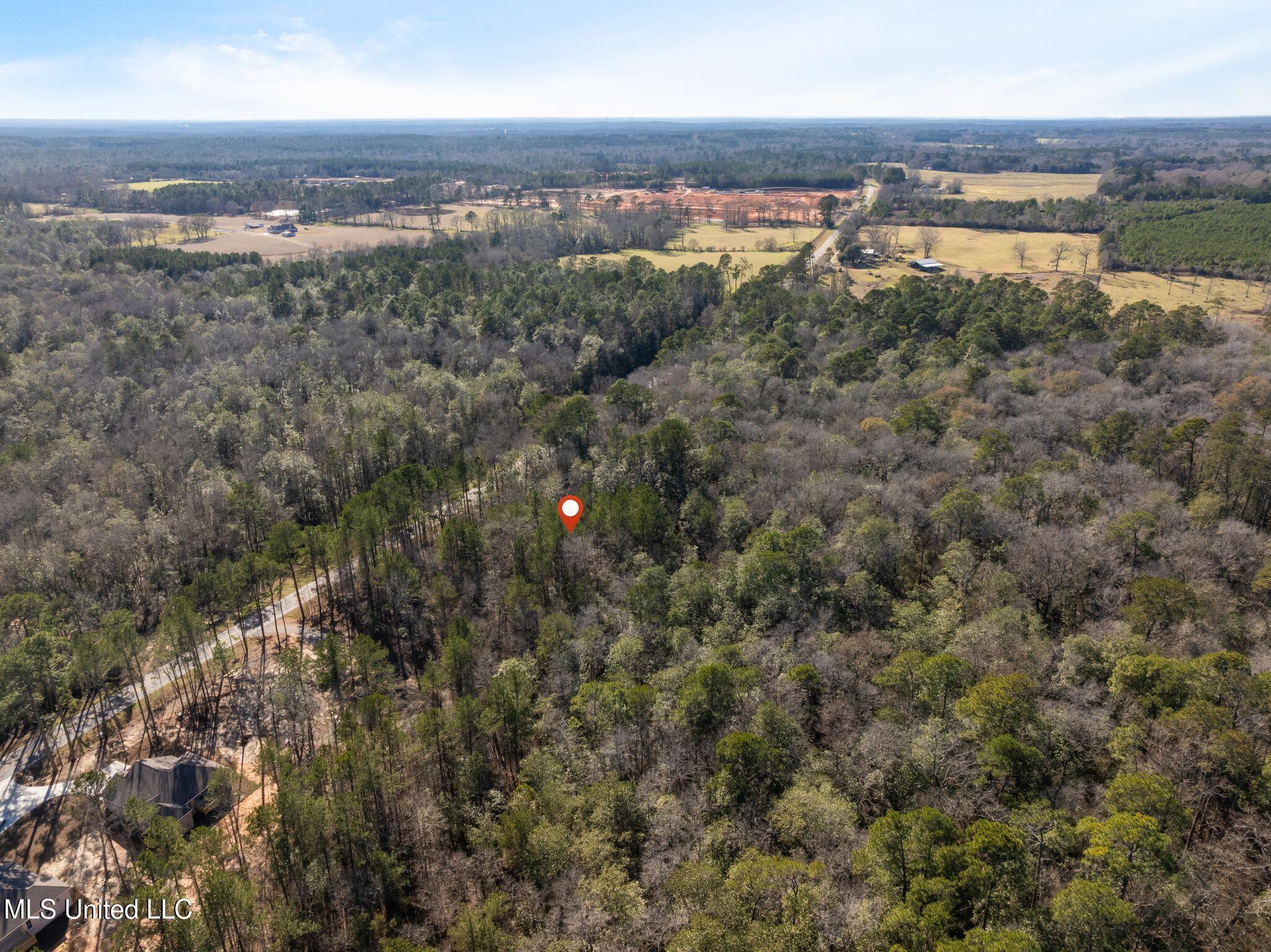 7.21 Acres Ms-44 Property Photo 12