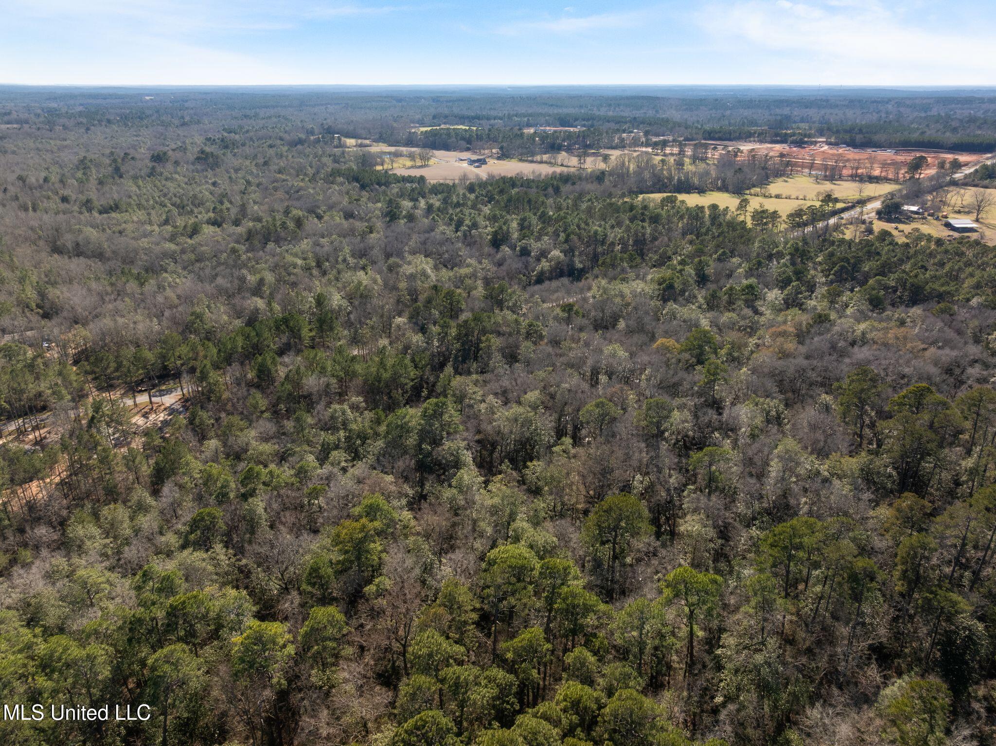 7.21 Acres Ms-44 Property Photo 13