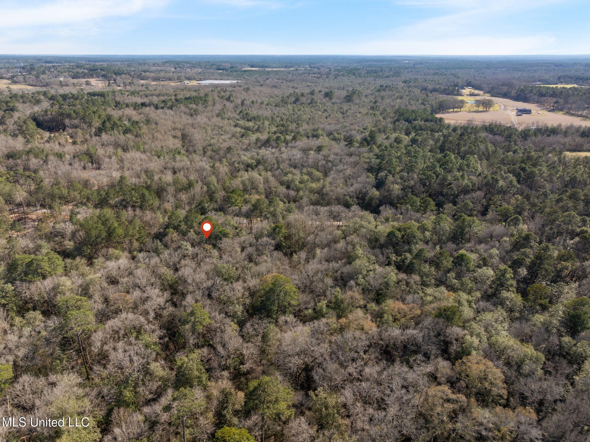 7.21 Acres Ms-44 Property Photo 14