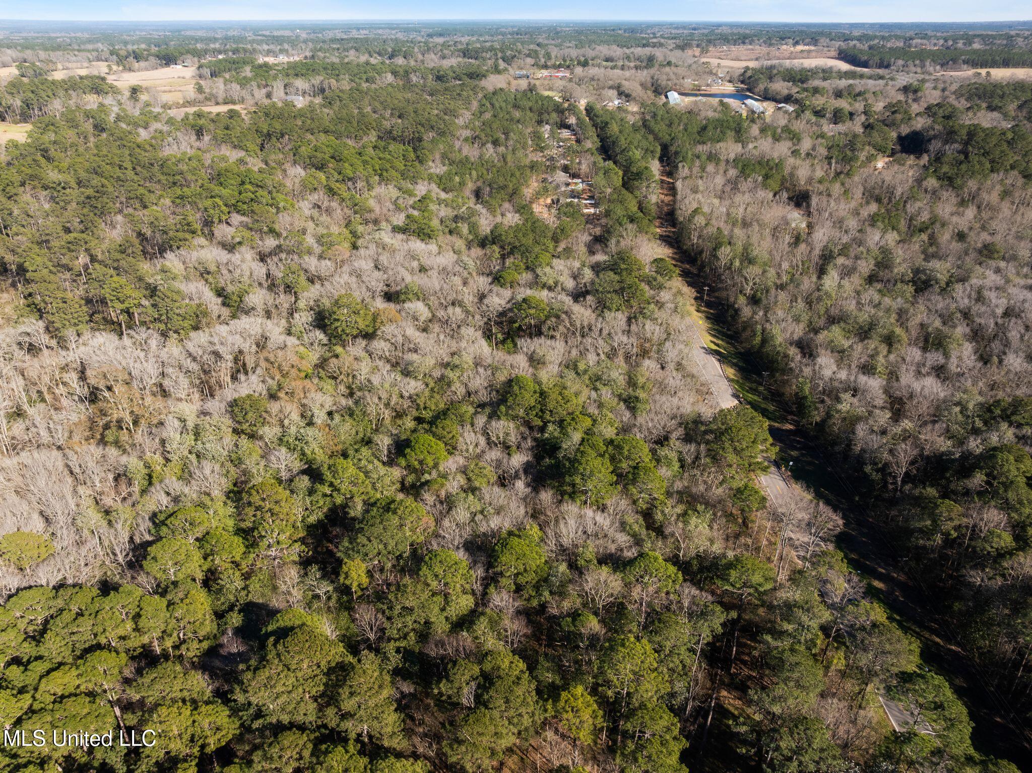 7.21 Acres Ms-44 Property Photo 15