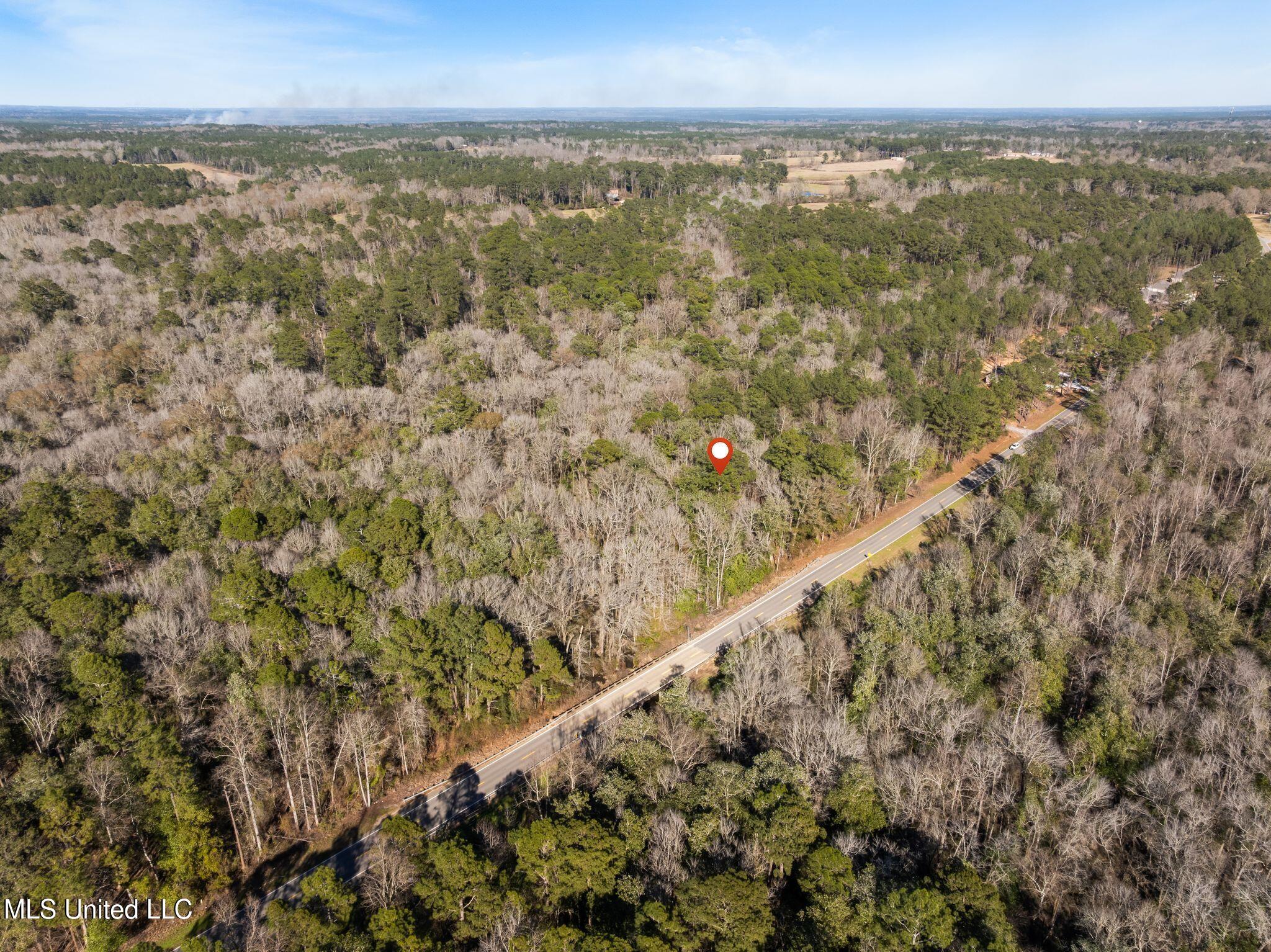 7.21 Acres Ms-44 Property Photo 16