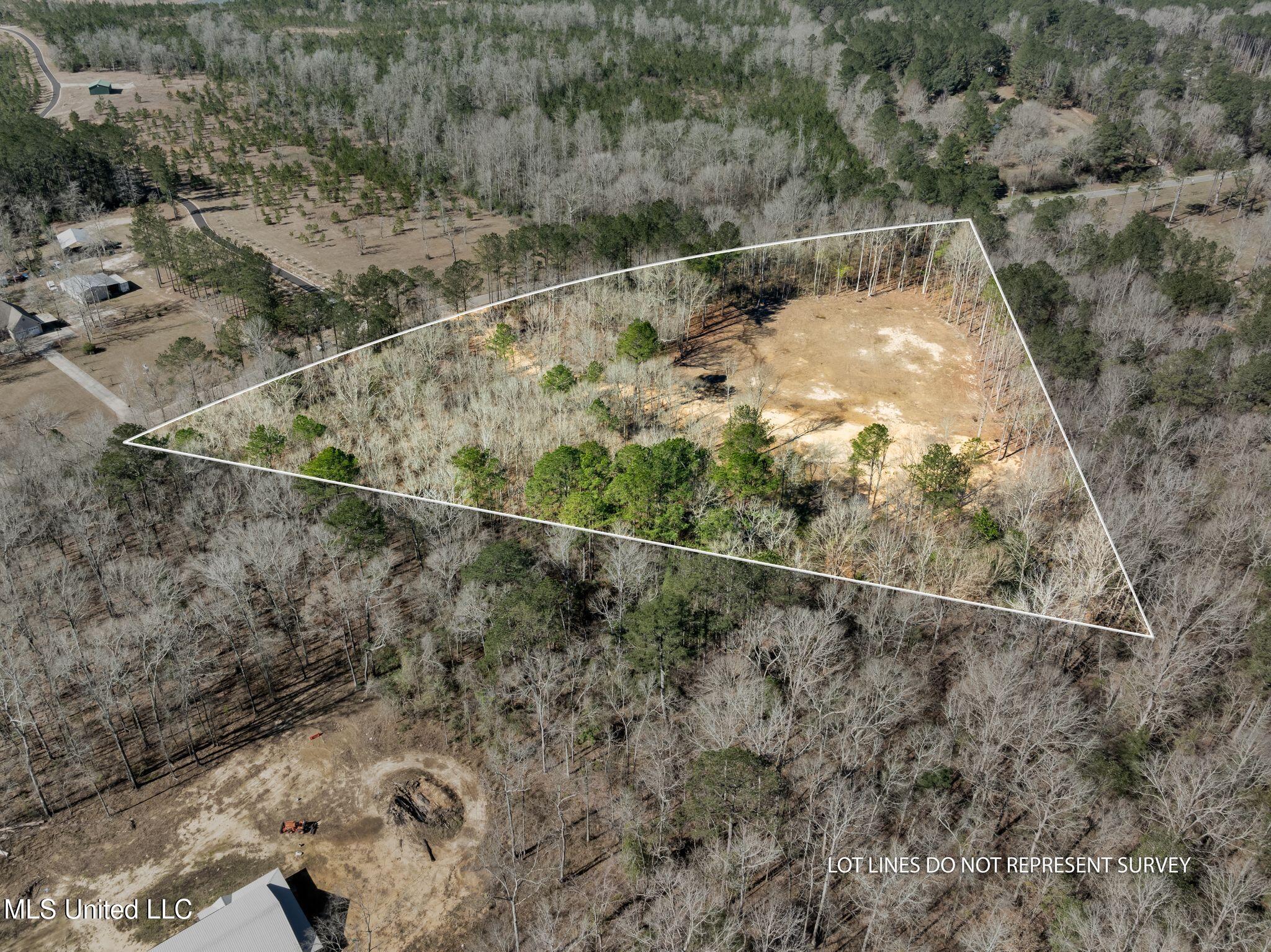 7.26 Acres Lott Town Road Property Photo 2