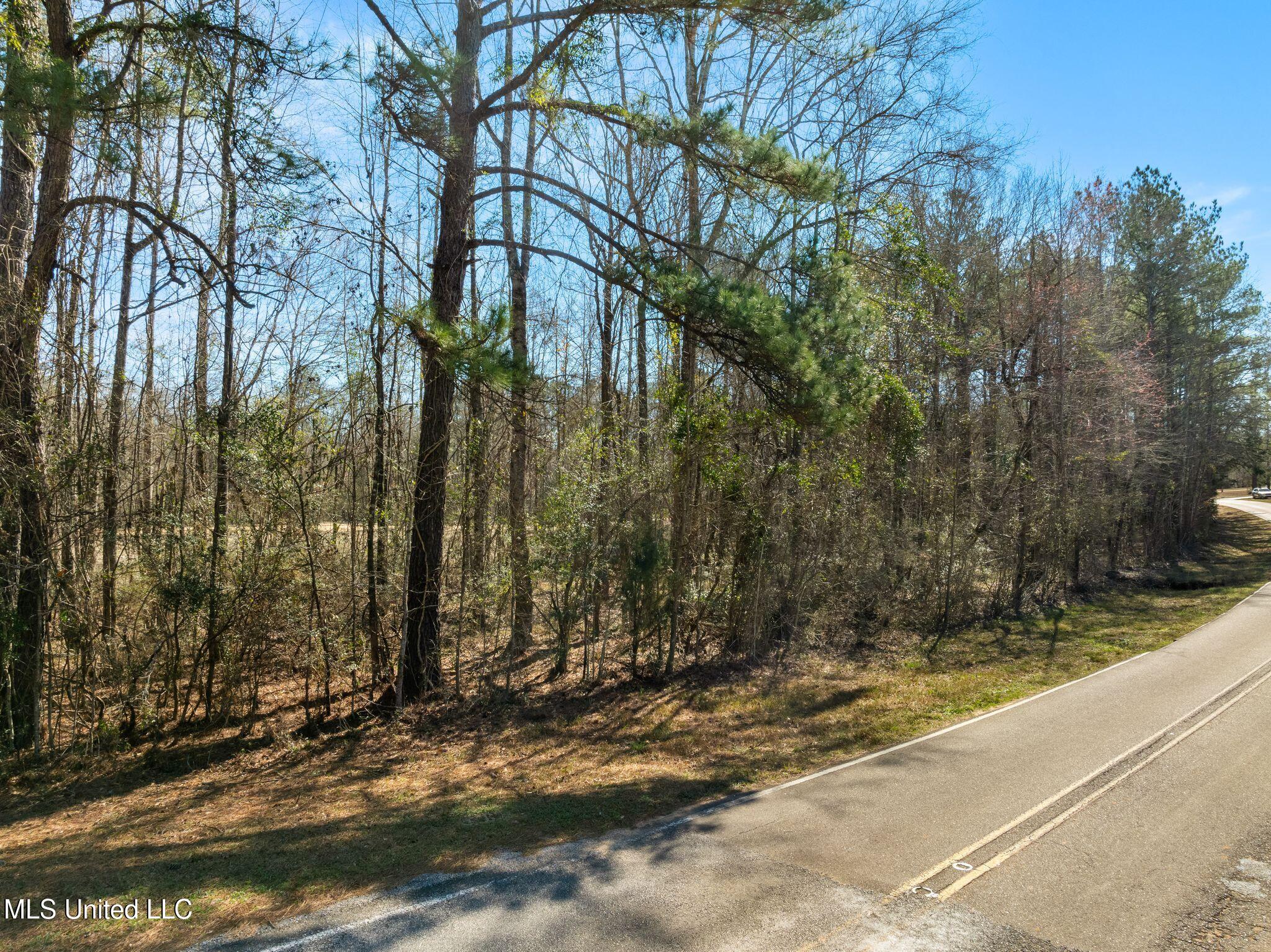 7.26 Acres Lott Town Road Property Photo 3