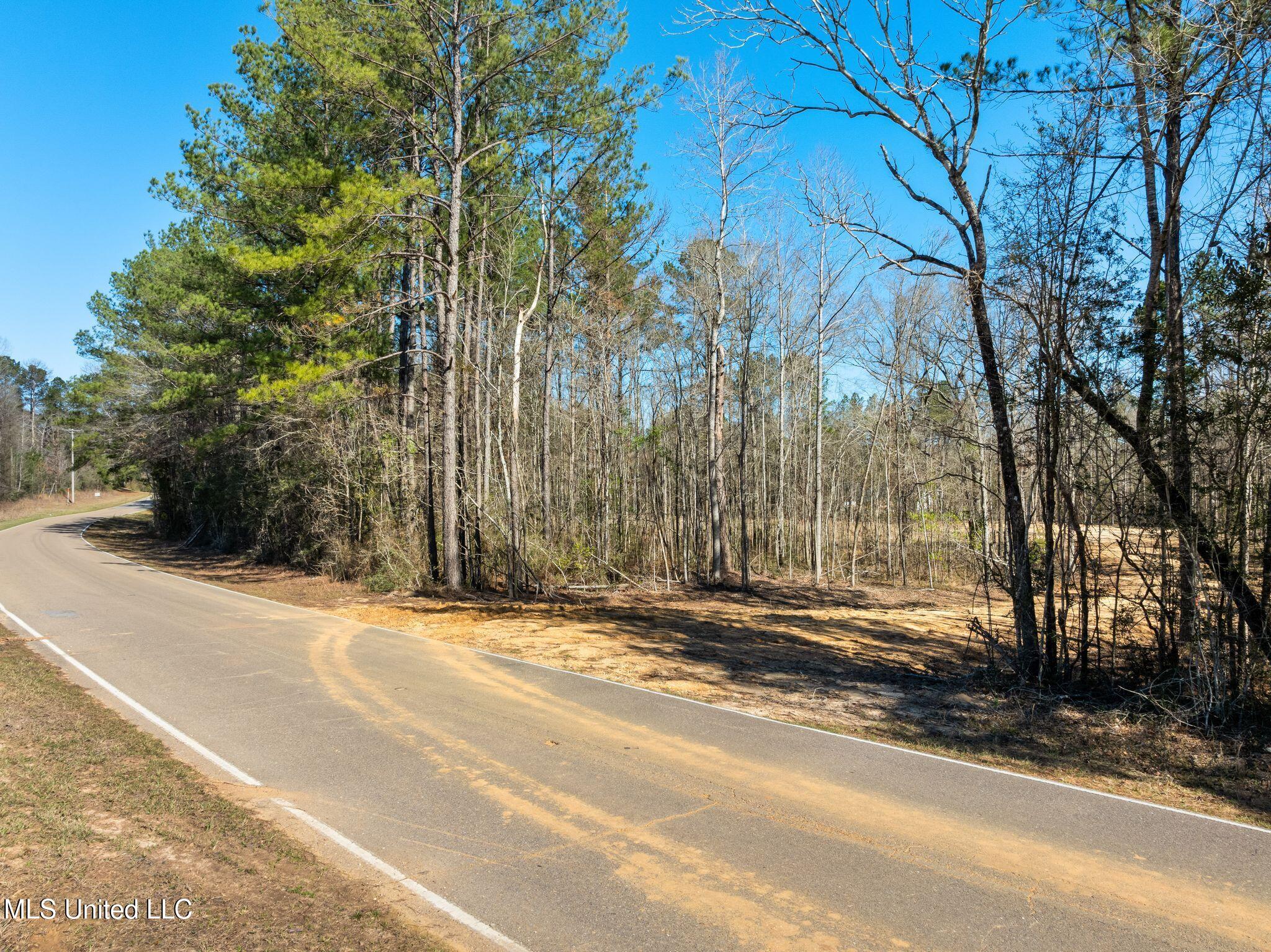 7.26 Acres Lott Town Road Property Photo 4