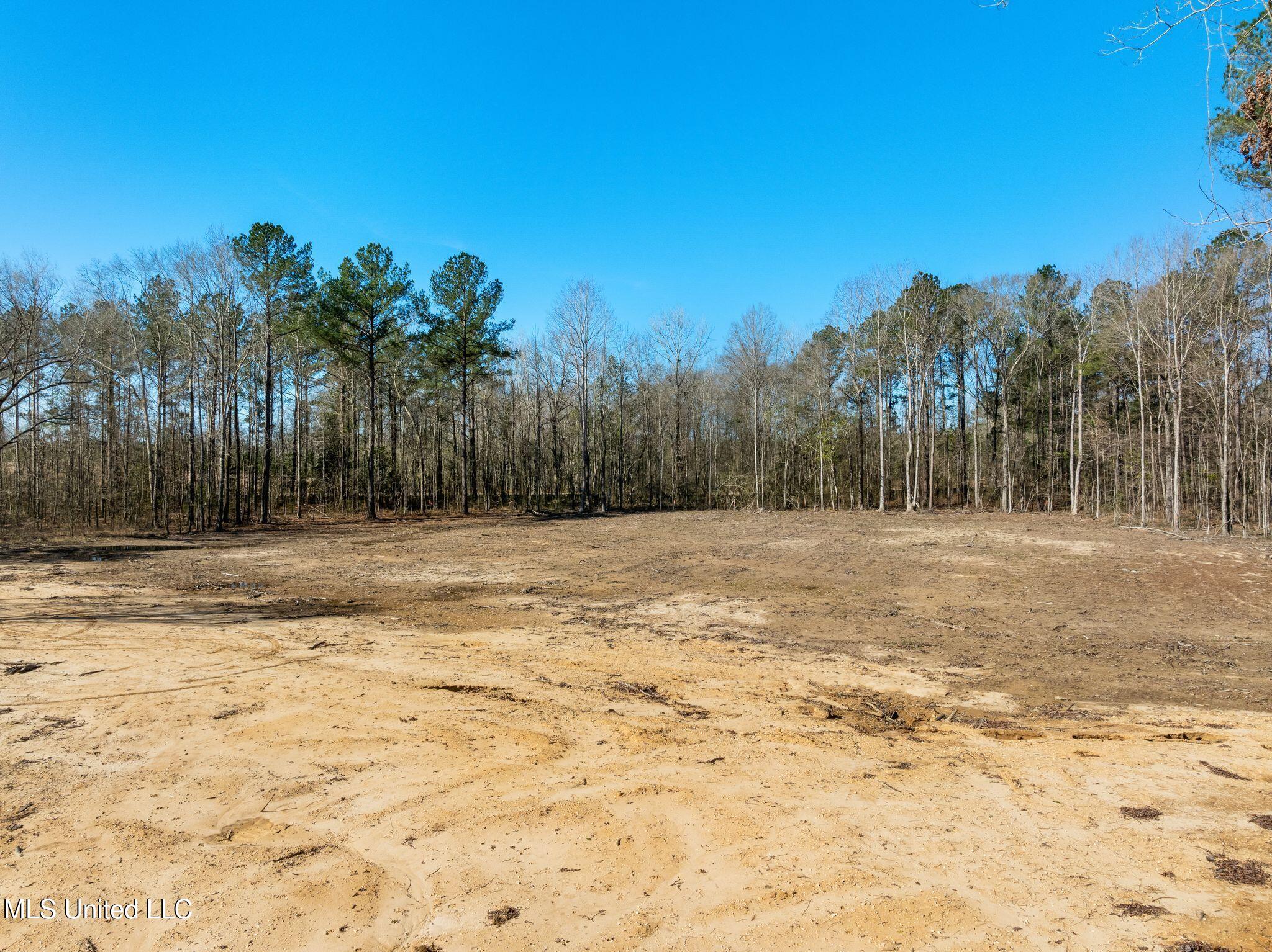 7.26 Acres Lott Town Road Property Photo 6