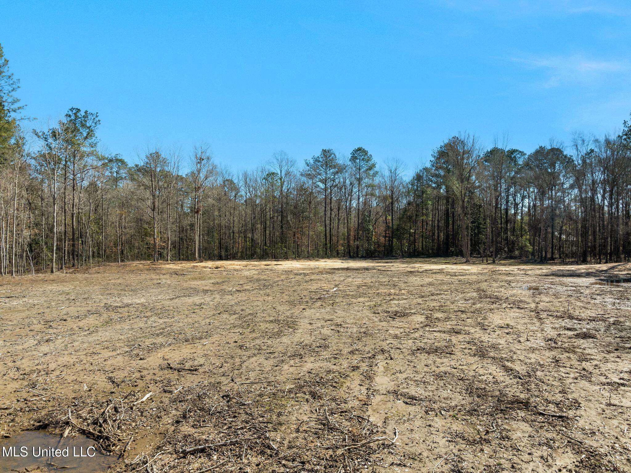 7.26 Acres Lott Town Road Property Photo 7
