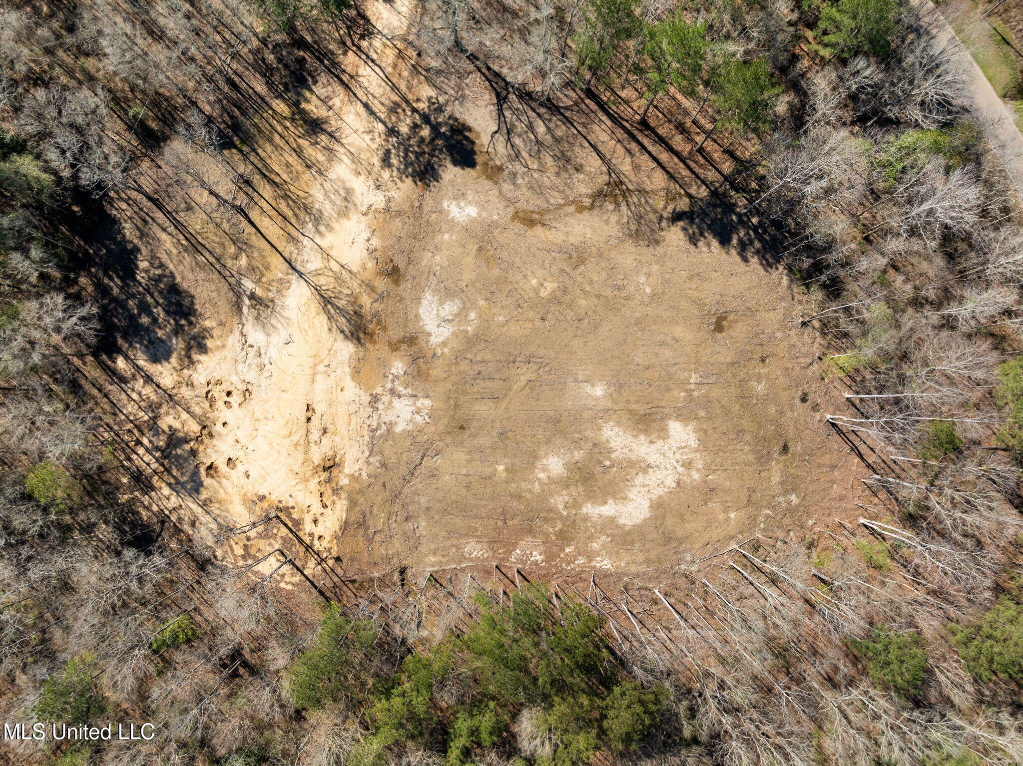 7.26 Acres Lott Town Road Property Photo 8