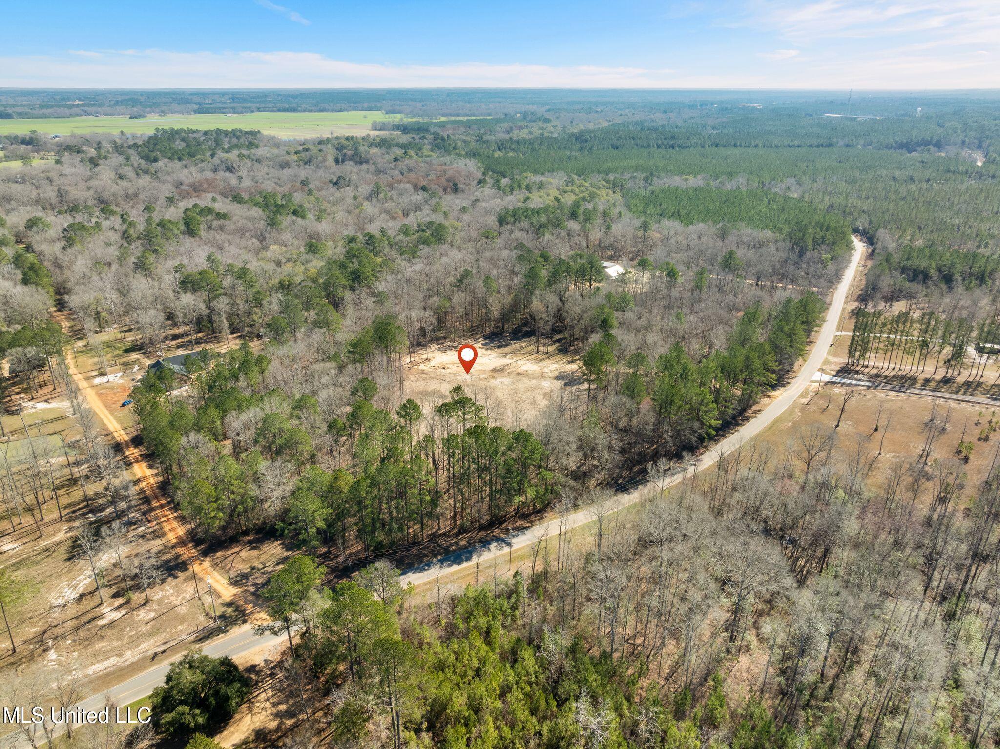7.26 Acres Lott Town Road Property Photo 9