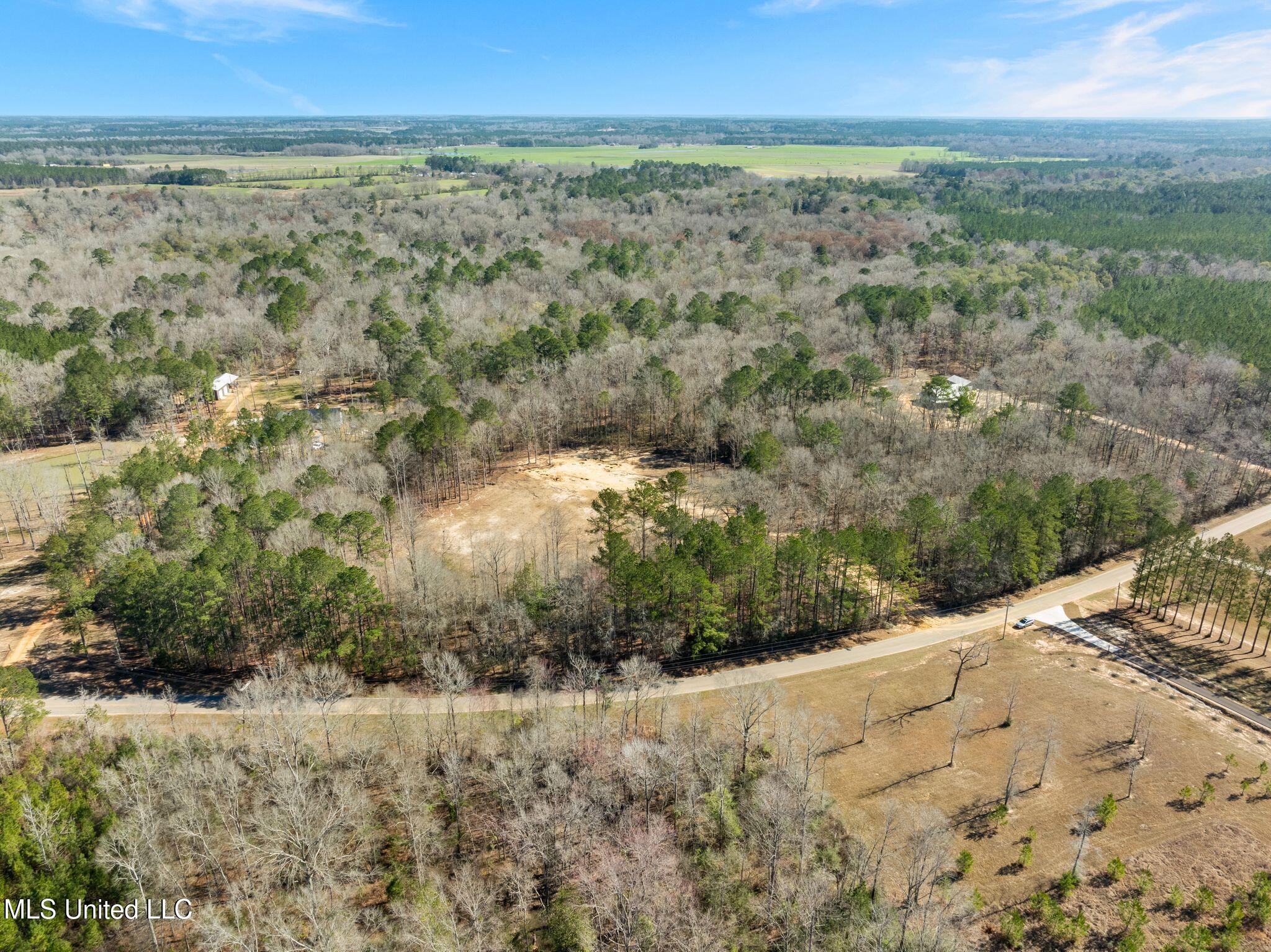 7.26 Acres Lott Town Road Property Photo 10