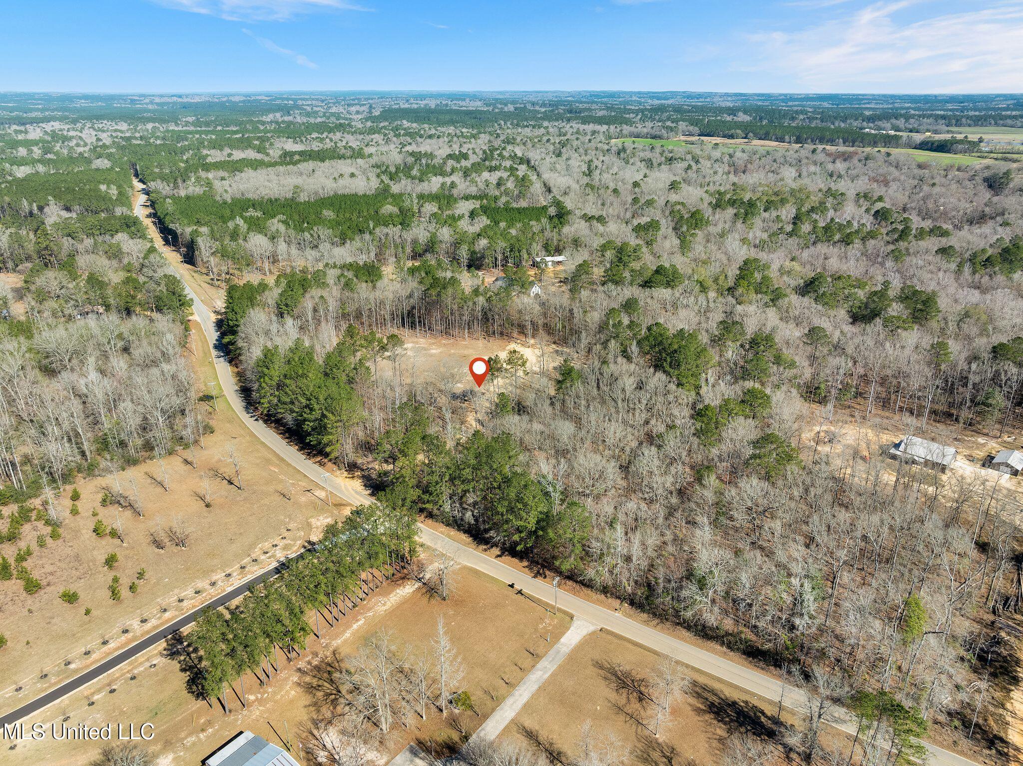 7.26 Acres Lott Town Road Property Photo 11