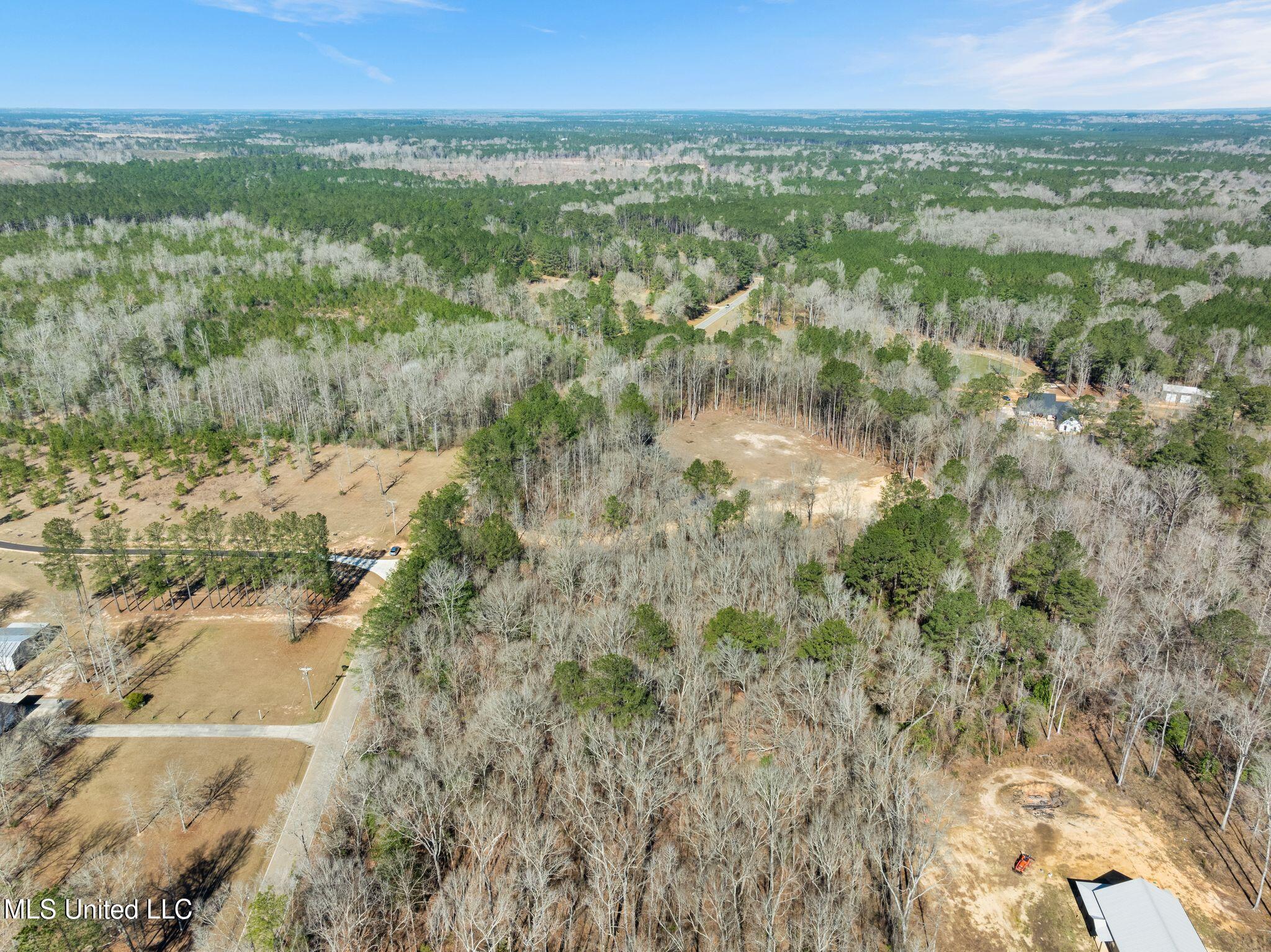 7.26 Acres Lott Town Road Property Photo 12