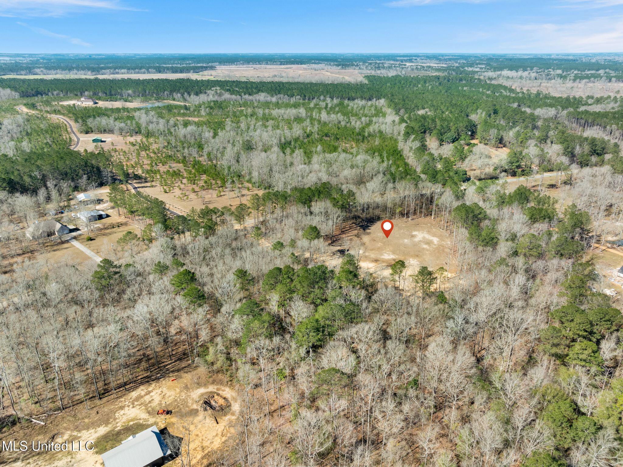 7.26 Acres Lott Town Road Property Photo 13