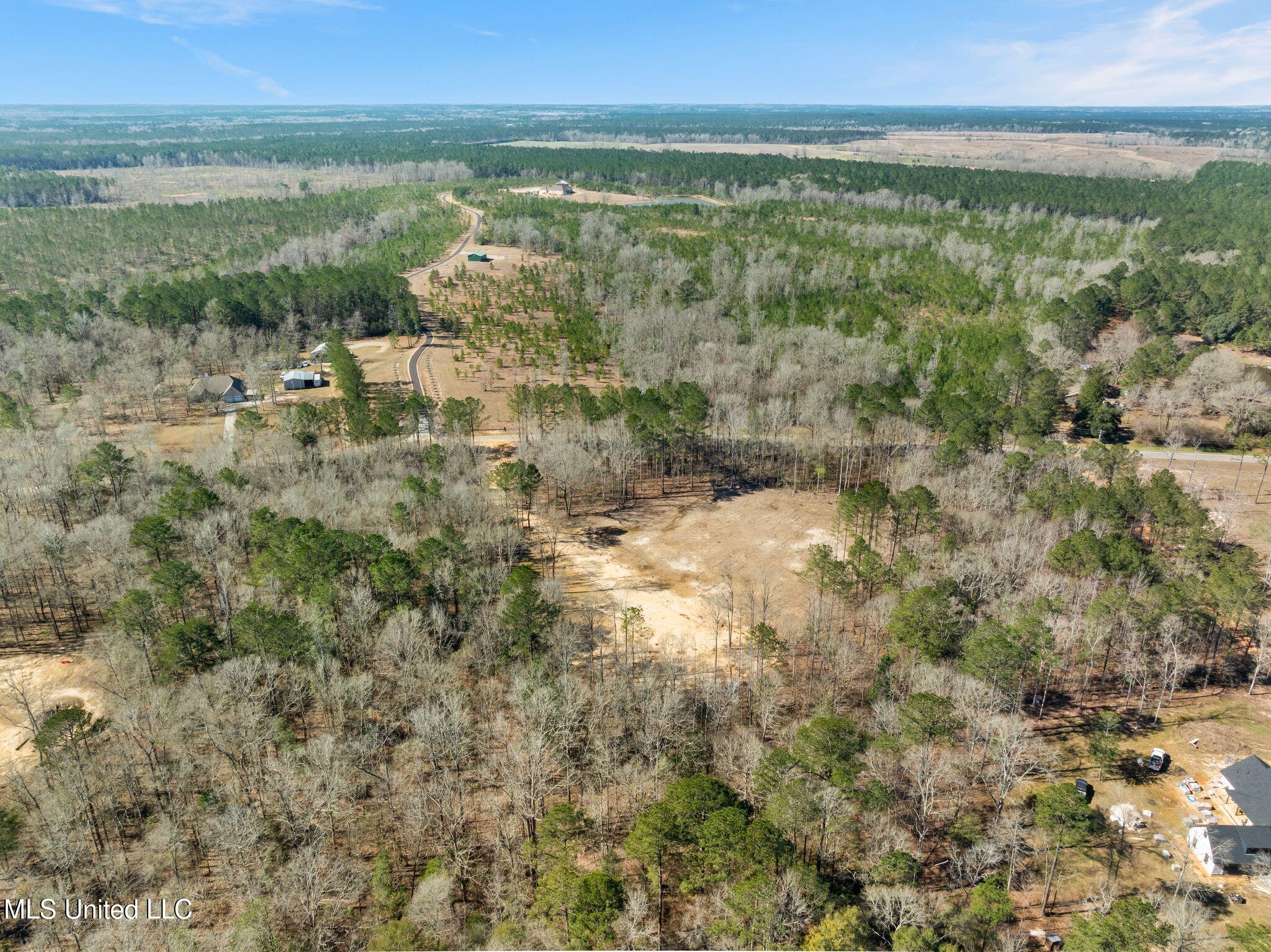 7.26 Acres Lott Town Road Property Photo 14