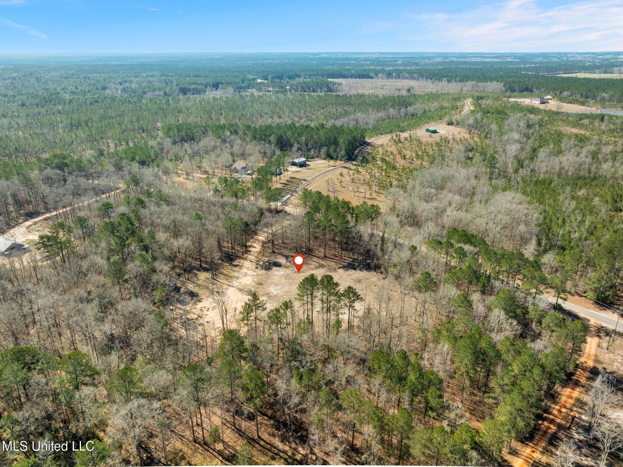 7.26 Acres Lott Town Road Property Photo 15