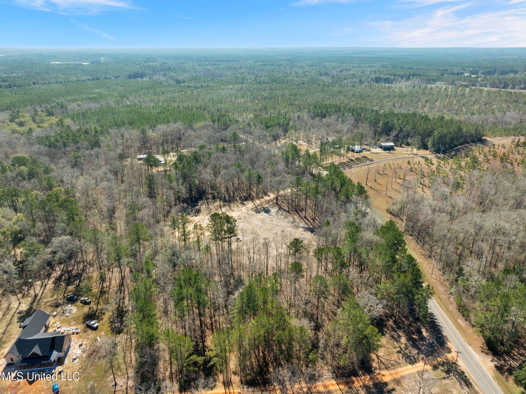 7.26 Acres Lott Town Road Property Photo 16