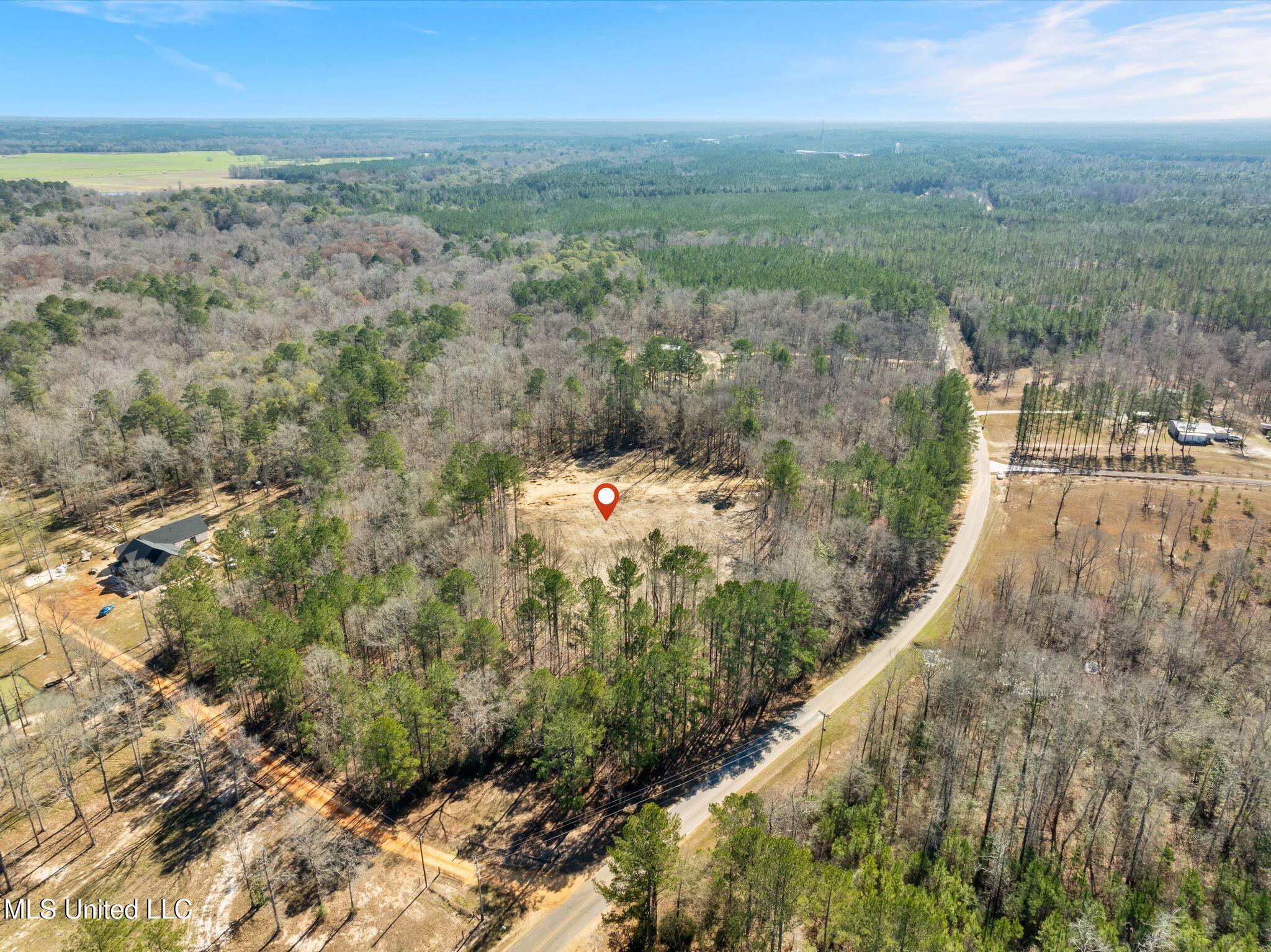 7.26 Acres Lott Town Road Property Photo 17