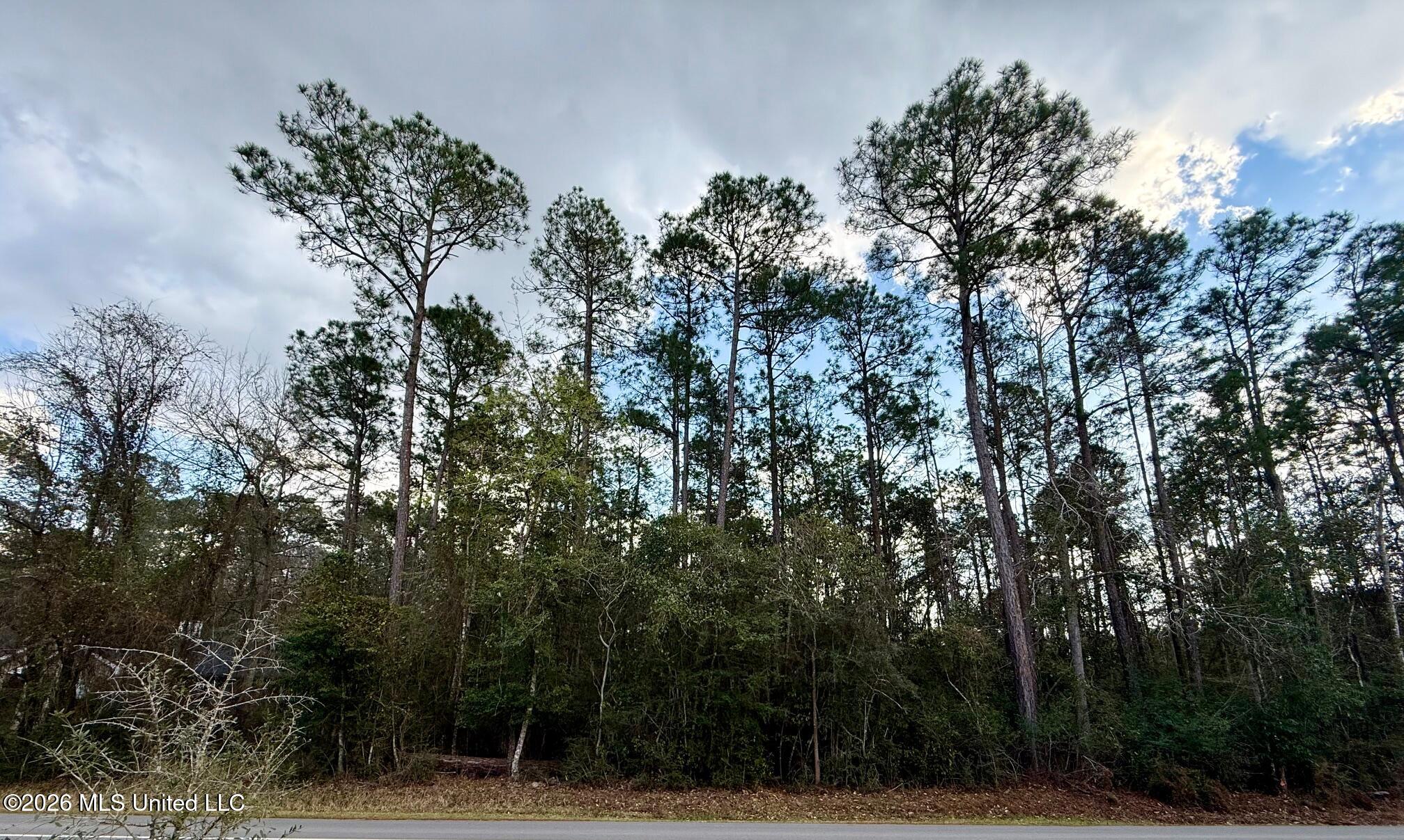 85537 W Diamondhead Drive Property Photo 1