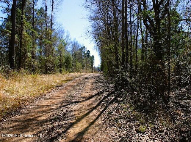Lot 2 Benjamin Lane Property Photo 2