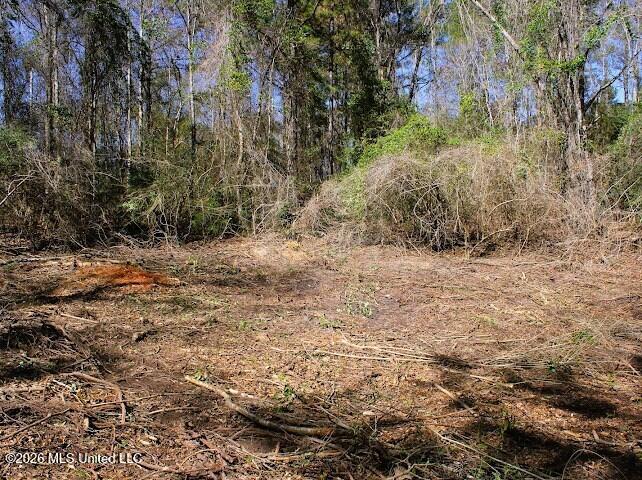 Lot 2 Benjamin Lane Property Photo 3