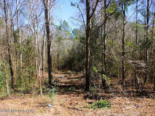 Lot 2 Benjamin Lane Property Photo 4