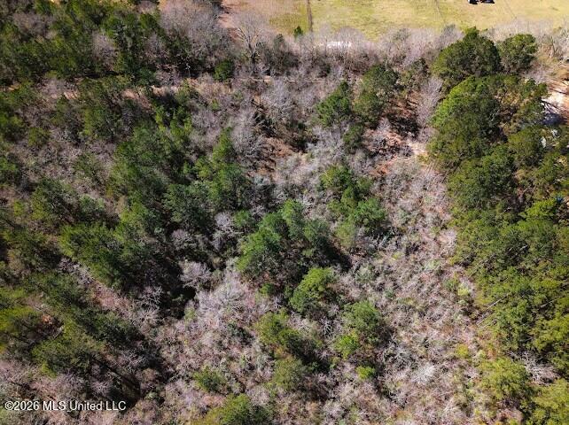 Lot 2 Benjamin Lane Property Photo 7