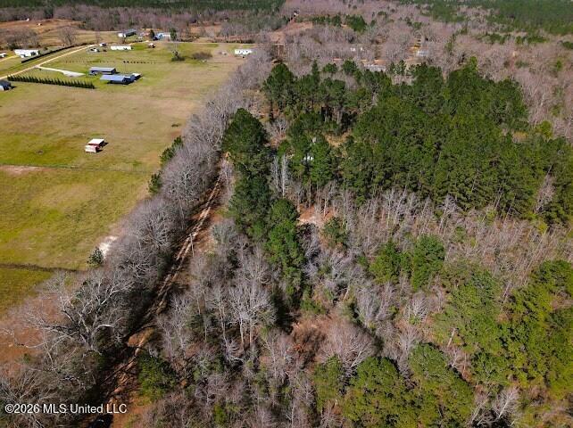 Lot 2 Benjamin Lane Property Photo 12