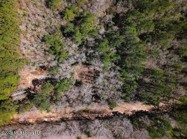 Lot 2 Benjamin Lane Property Photo 21