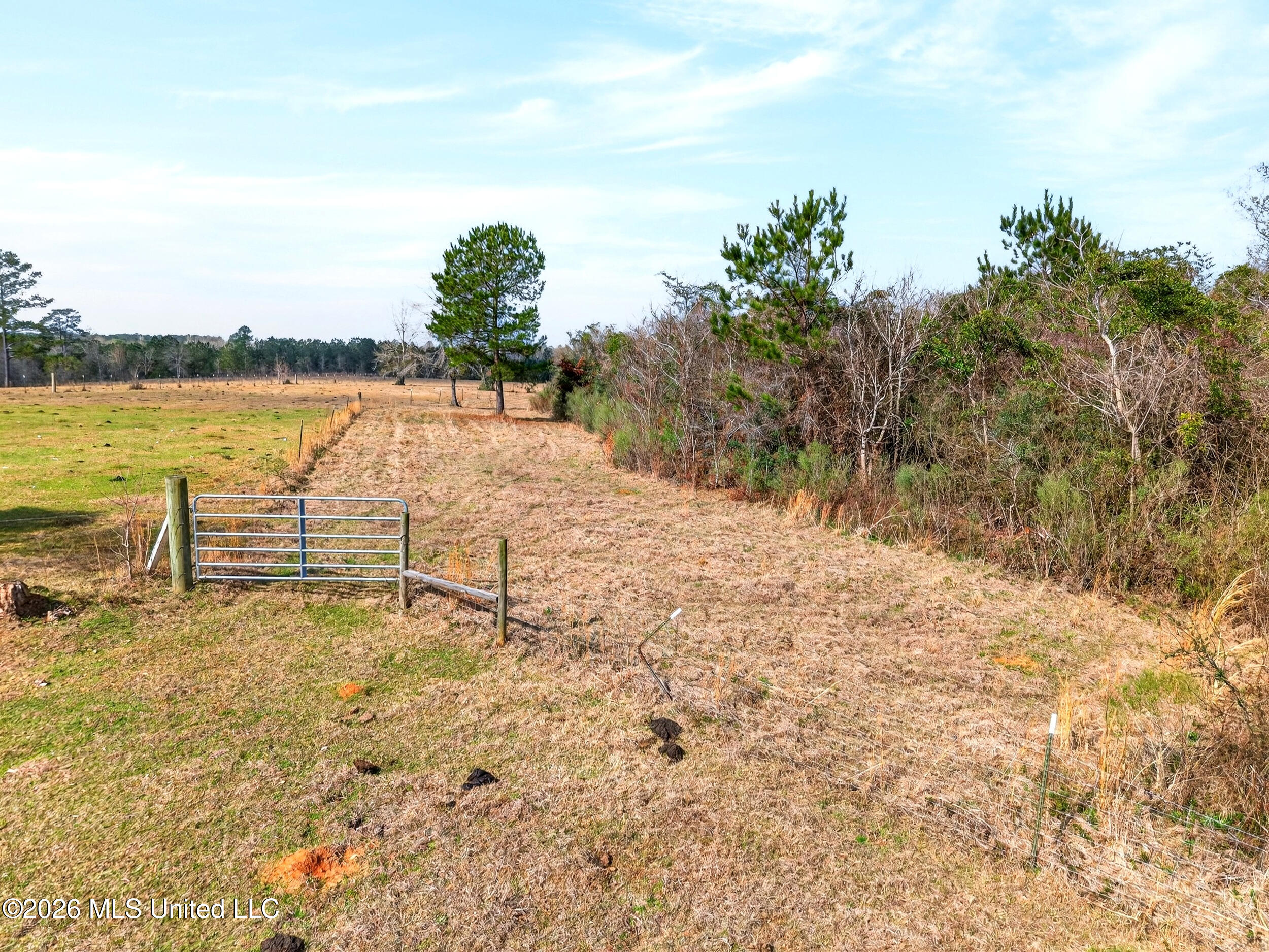 67 Angie Road Property Photo 19