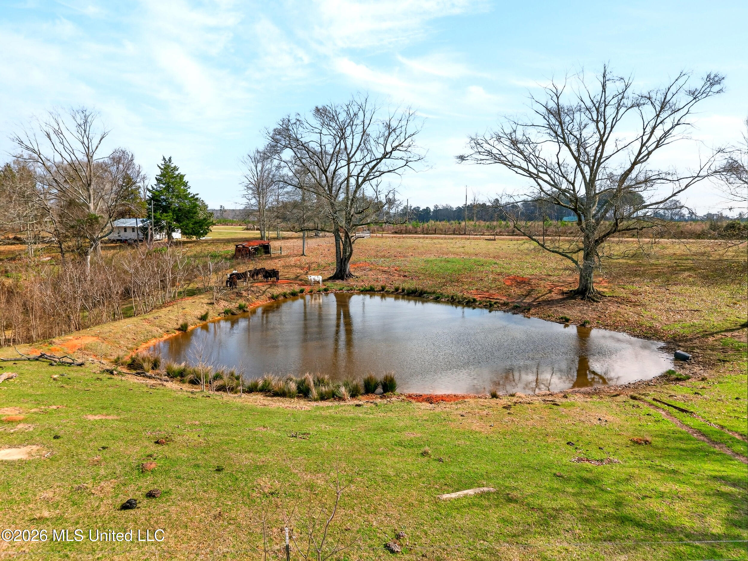 67 Angie Road Property Photo 21