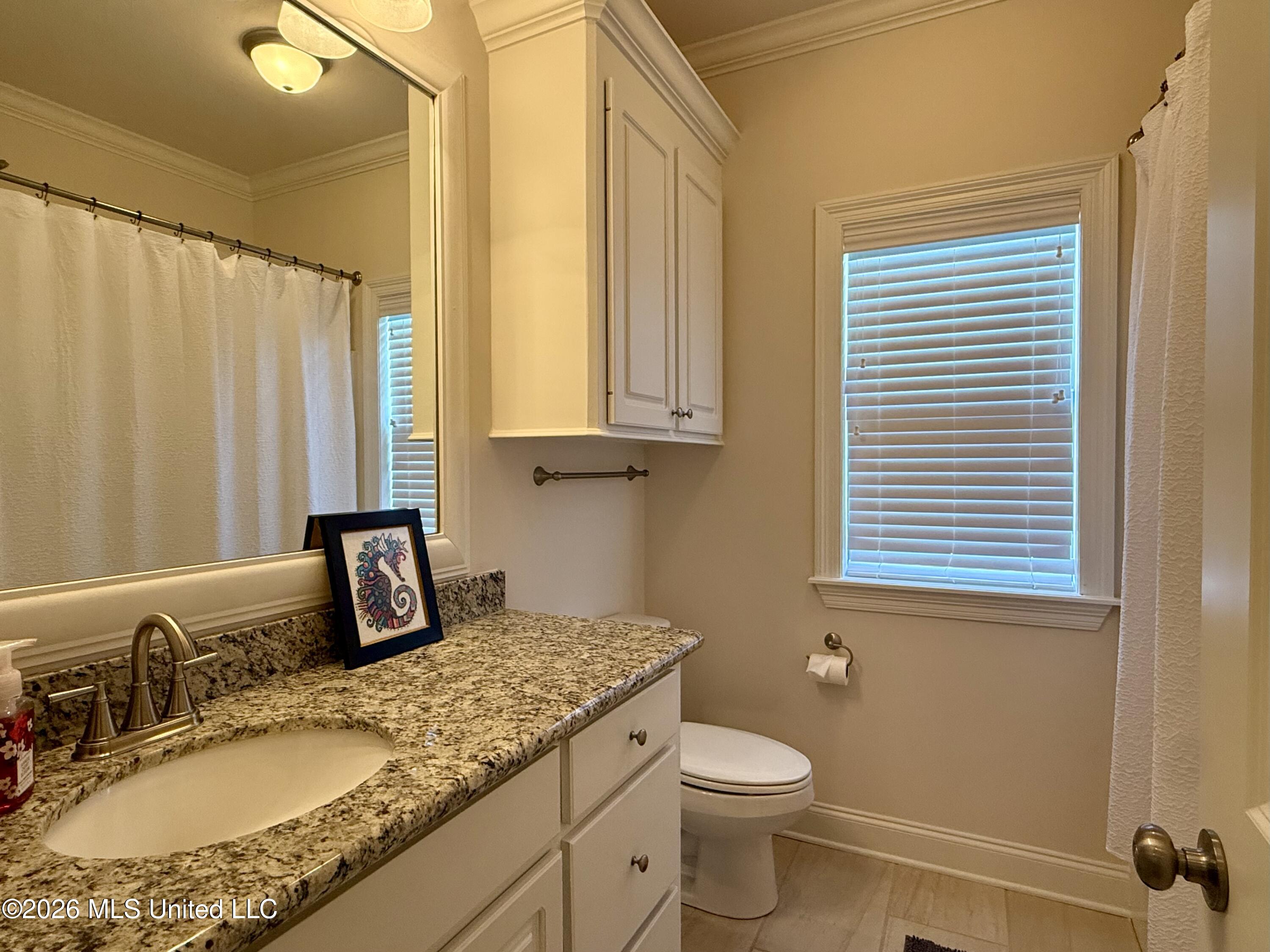 242 Falls Crossing Property Photo 18